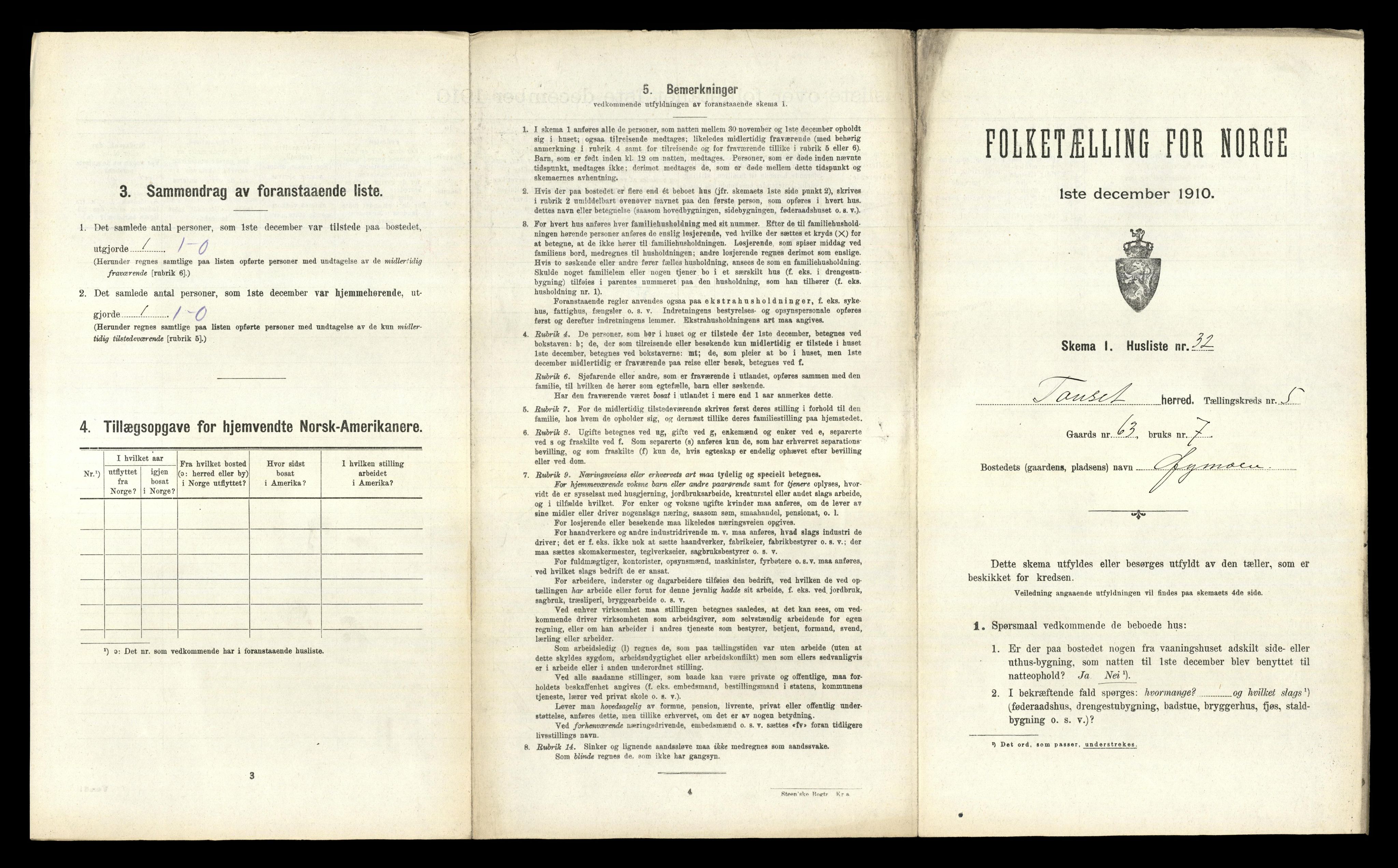 RA, 1910 census for Tynset, 1910, p. 717