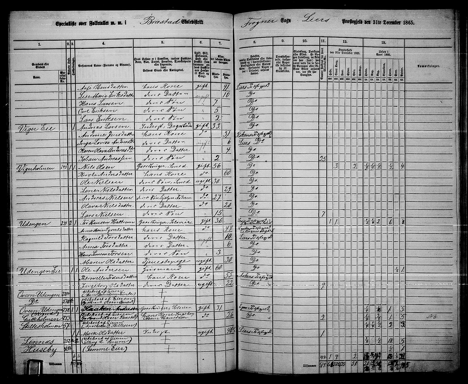 RA, 1865 census for Lier, 1865, p. 143