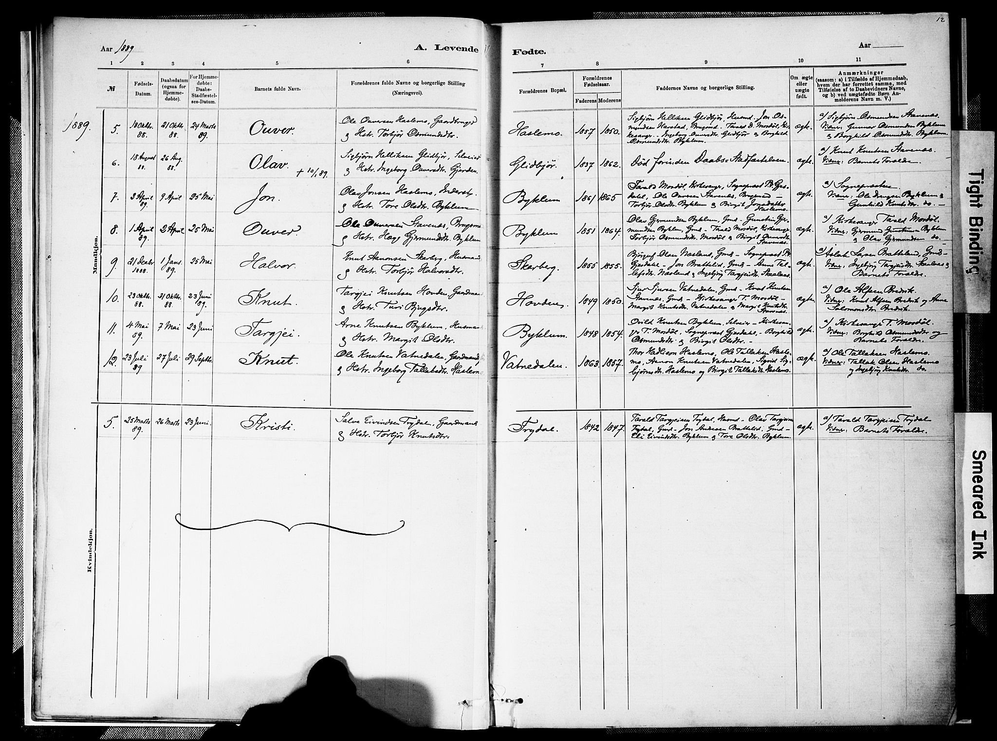 Valle sokneprestkontor, SAK/1111-0044/F/Fa/Faa/L0001: Parish register (official) no. A 1, 1882-1907, p. 12