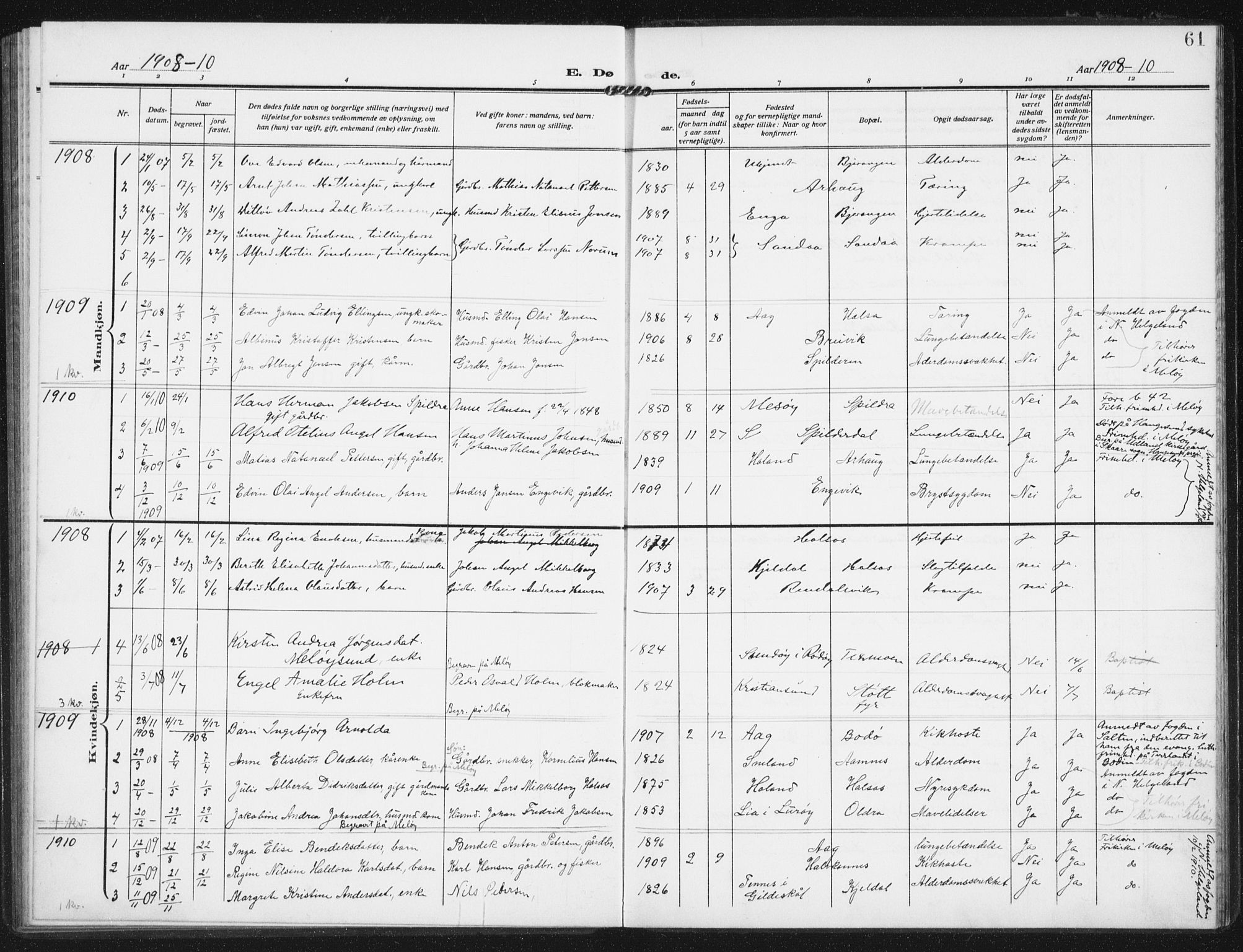 Ministerialprotokoller, klokkerbøker og fødselsregistre - Nordland, AV/SAT-A-1459/843/L0629: Parish register (official) no. 843A04, 1907-1925, p. 61