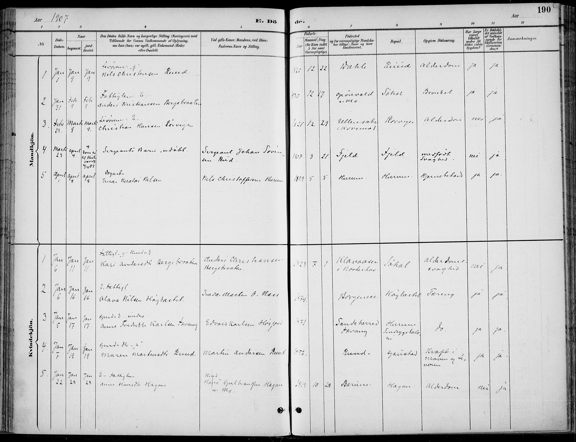 Hole kirkebøker, AV/SAKO-A-228/F/Fa/L0009: Parish register (official) no. I 9, 1892-1907, p. 190