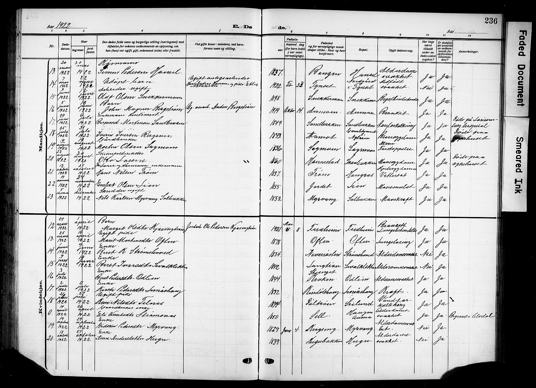 Tynset prestekontor, SAH/PREST-058/H/Ha/Hab/L0011: Parish register (copy) no. 11, 1915-1930, p. 236
