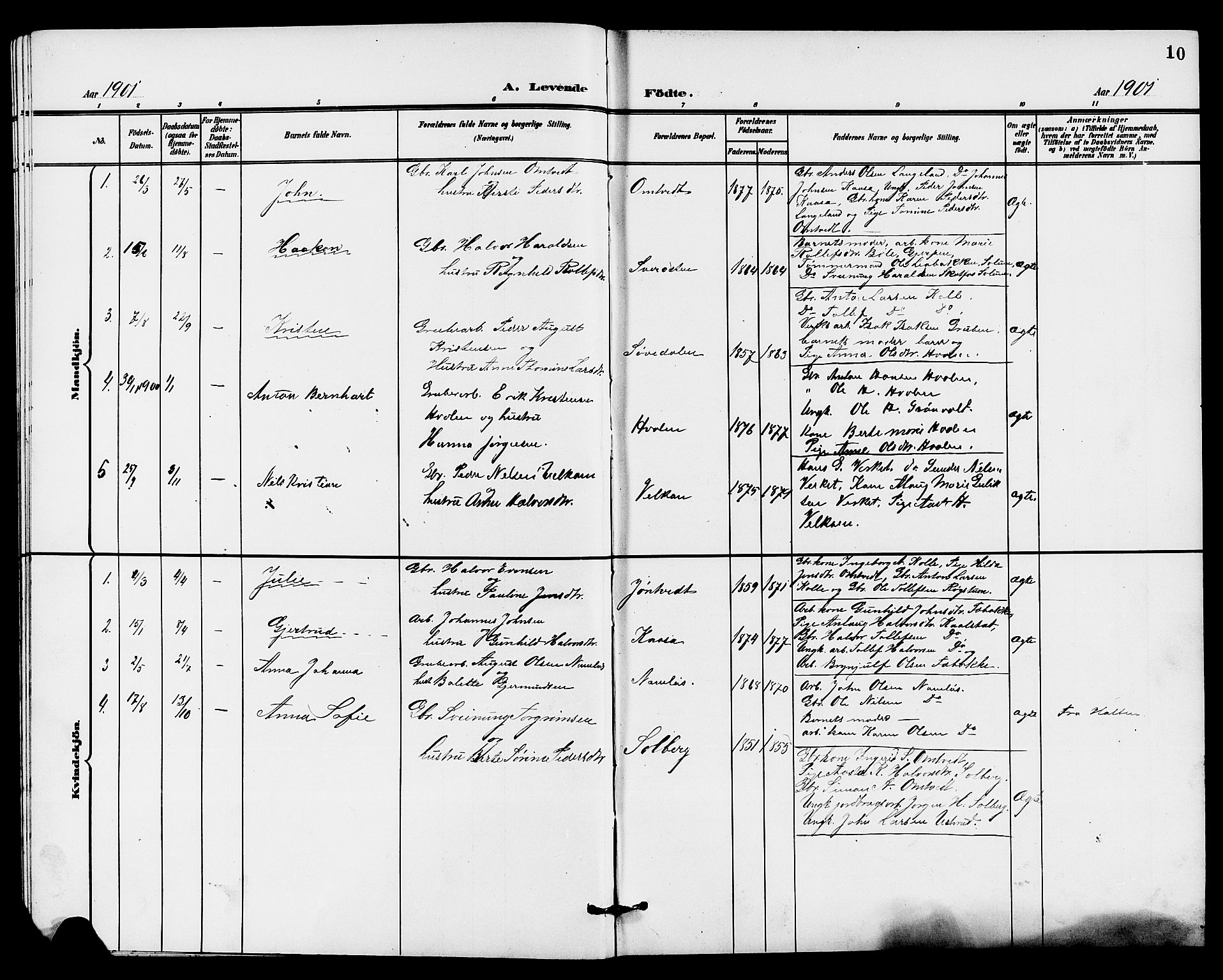 Holla kirkebøker, SAKO/A-272/G/Gb/L0002: Parish register (copy) no. II 2, 1897-1913, p. 10