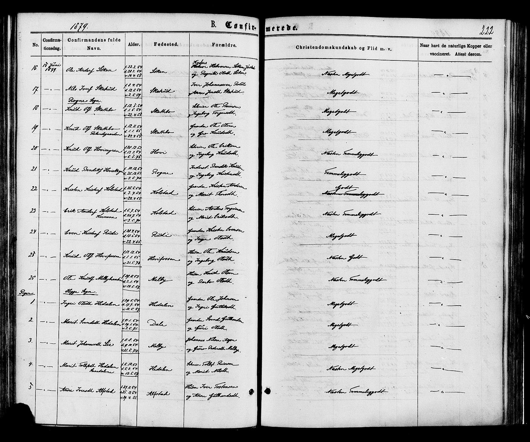 Øystre Slidre prestekontor, SAH/PREST-138/H/Ha/Haa/L0002: Parish register (official) no. 2, 1874-1886, p. 222