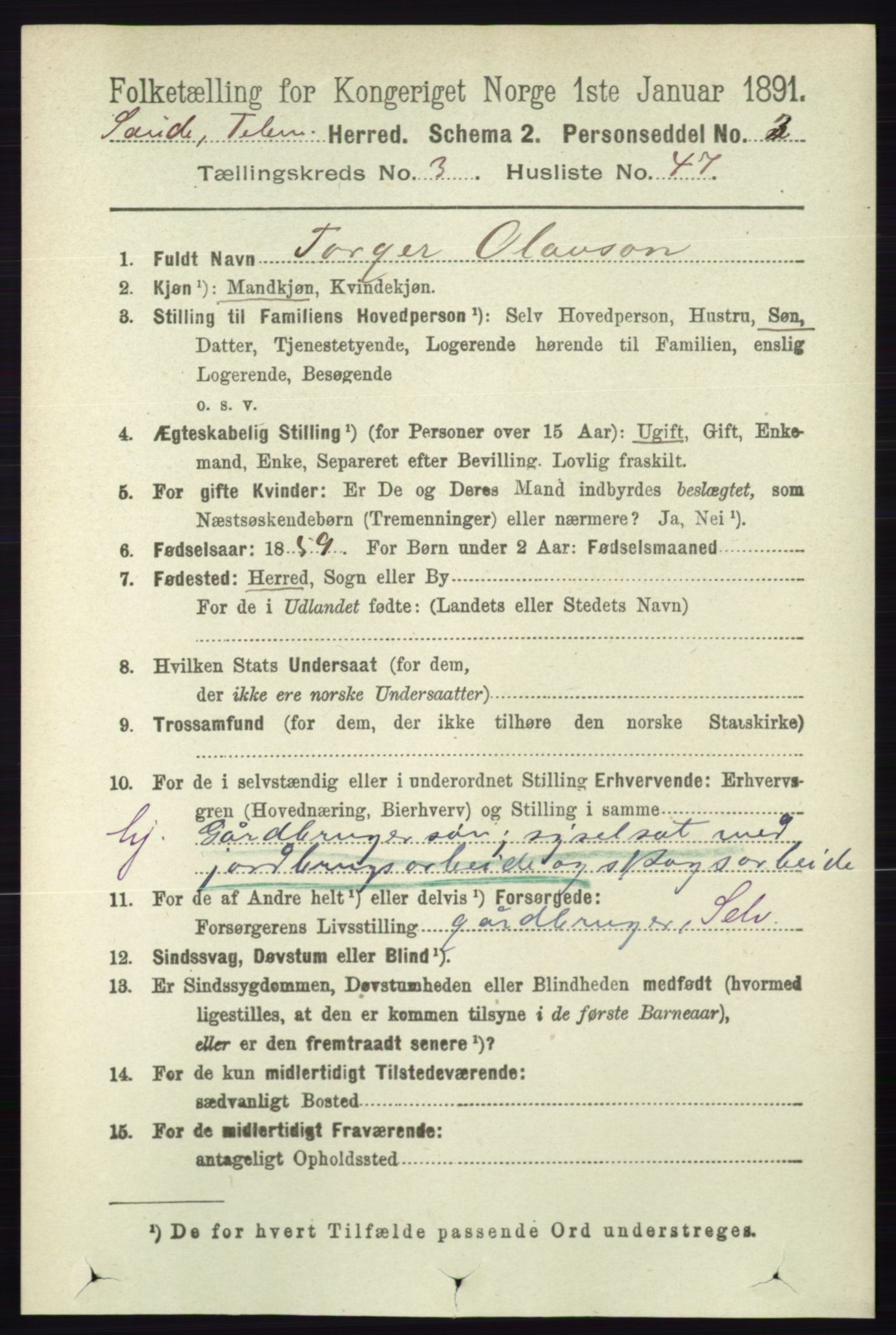 RA, 1891 census for 0822 Sauherad, 1891, p. 966