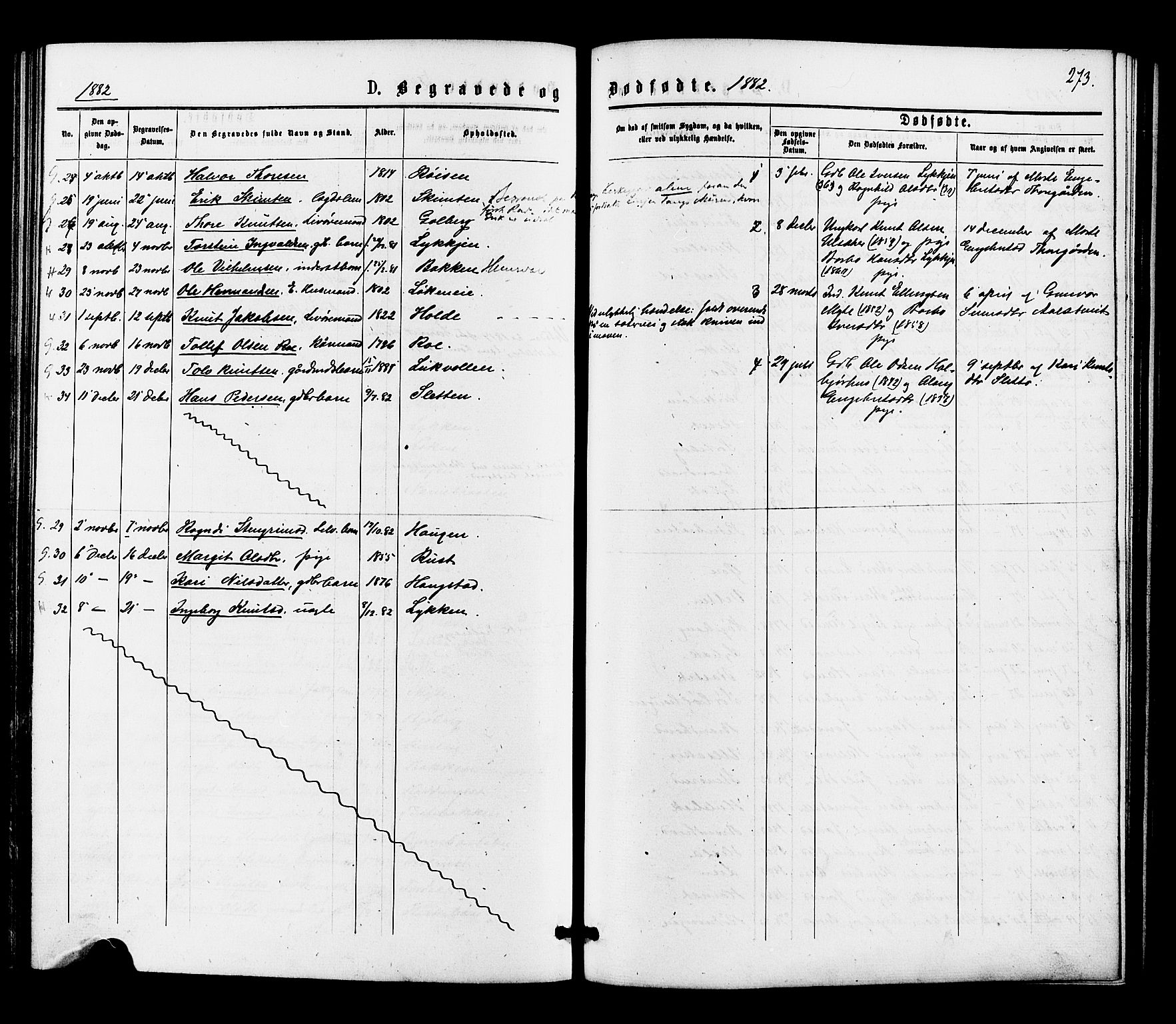 Gol kirkebøker, SAKO/A-226/F/Fa/L0004: Parish register (official) no. I 4, 1876-1886, p. 273