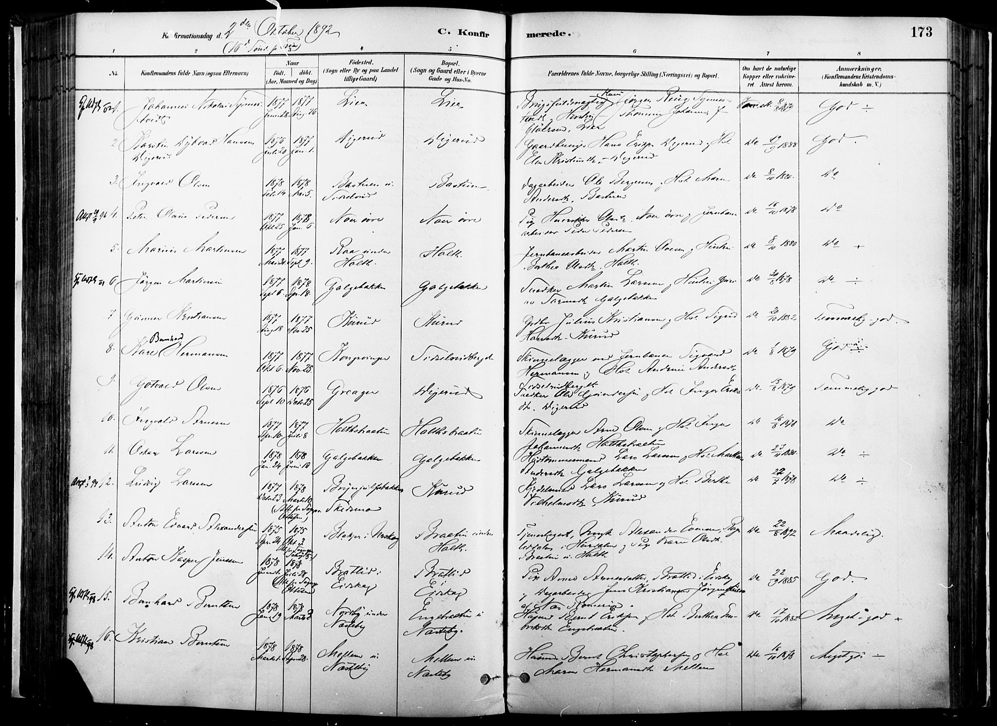 Vinger prestekontor, AV/SAH-PREST-024/H/Ha/Haa/L0014: Parish register (official) no. 14, 1881-1900, p. 173