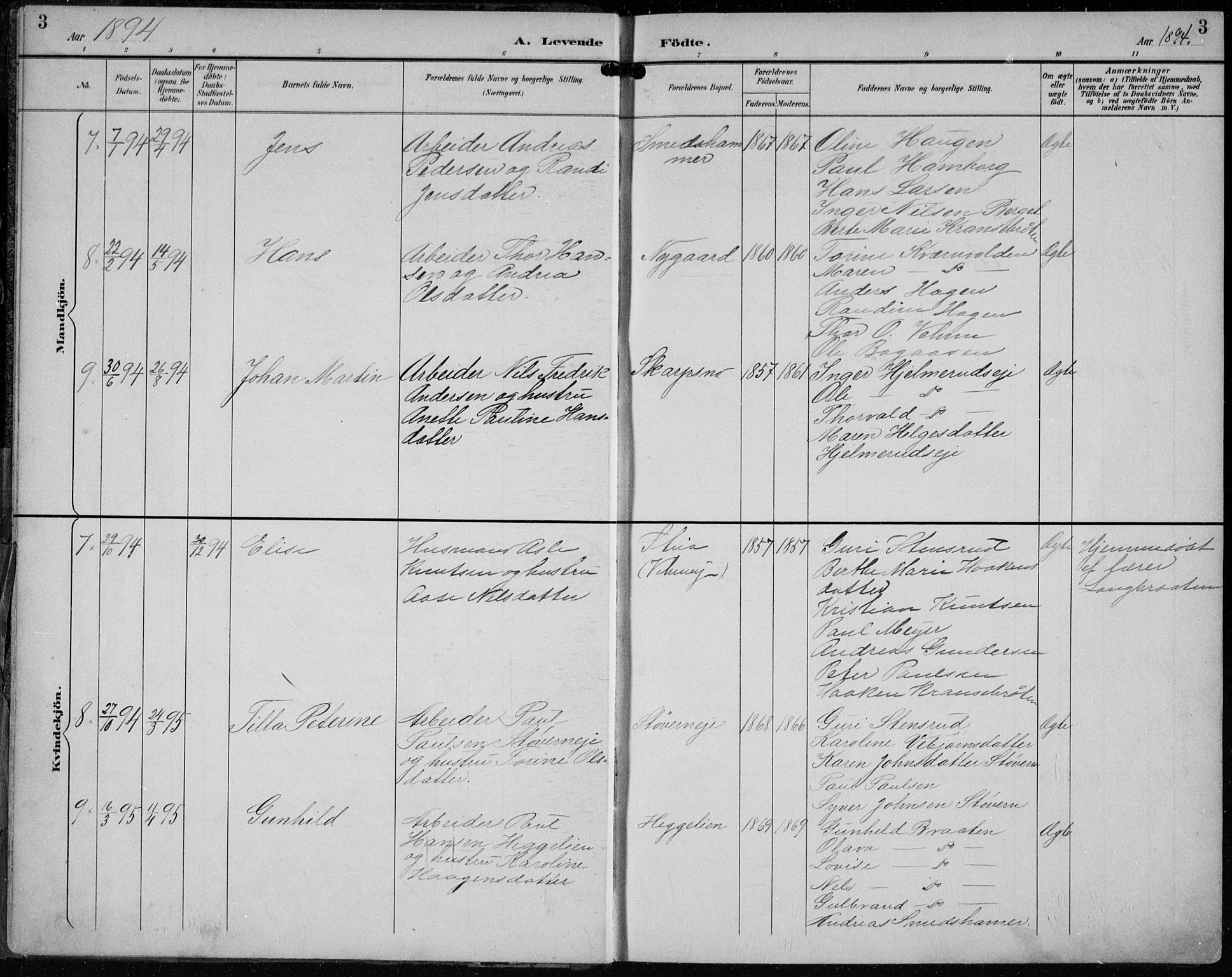 Lunder kirkebøker, AV/SAKO-A-629/F/Fb/L0001: Parish register (official) no. II 1, 1893-1916, p. 3