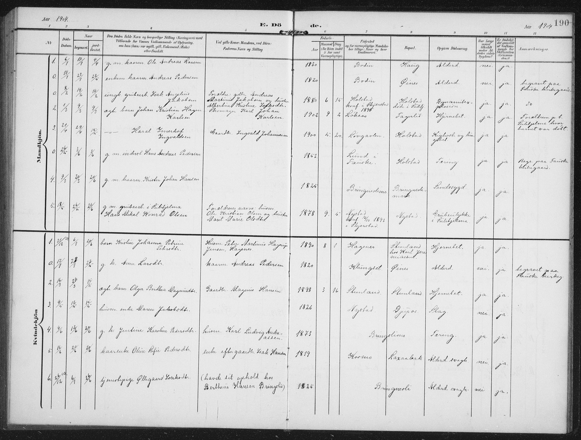 Ministerialprotokoller, klokkerbøker og fødselsregistre - Nordland, AV/SAT-A-1459/851/L0726: Parish register (copy) no. 851C01, 1902-1924, p. 190