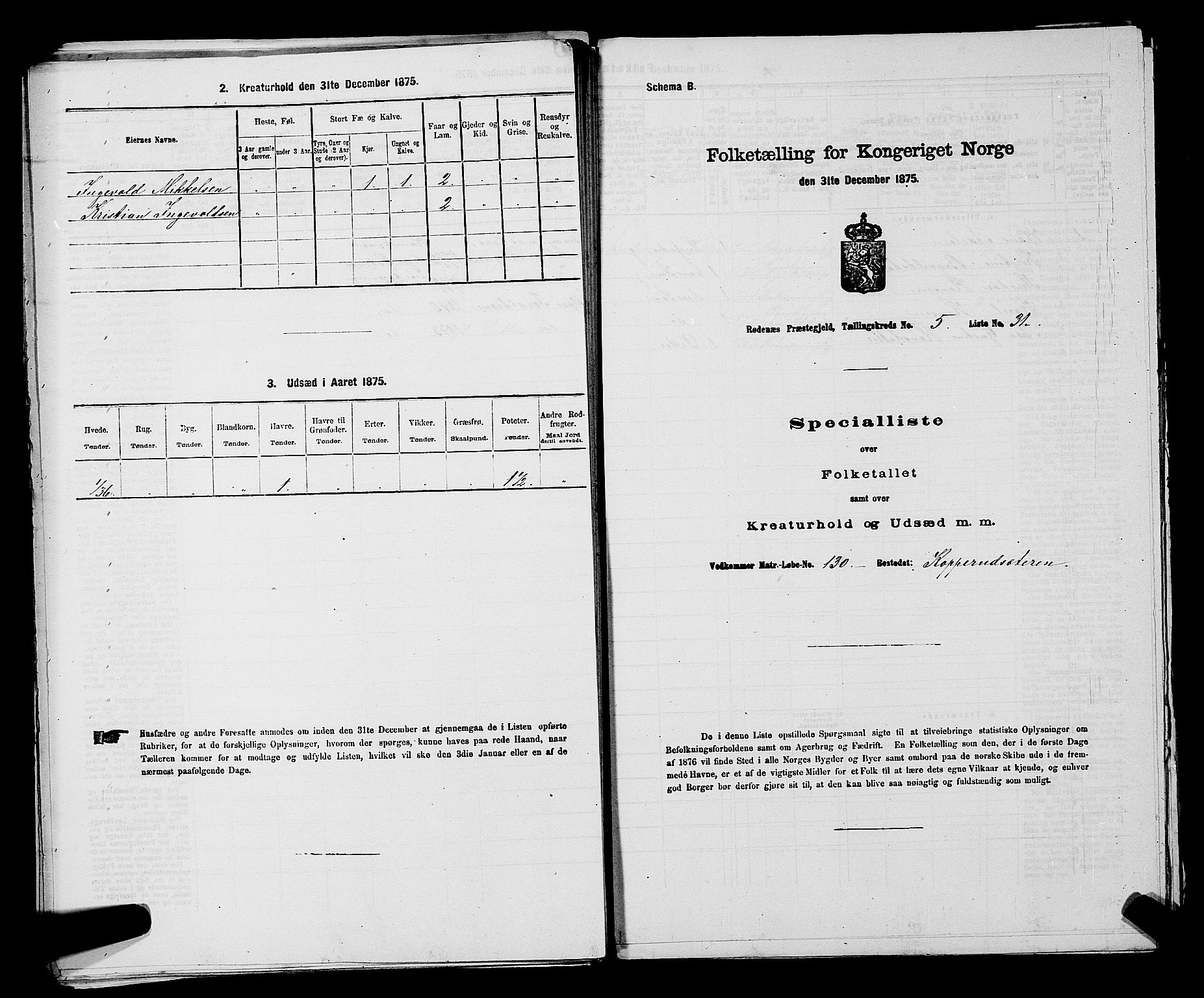 RA, 1875 census for 0120P Rødenes, 1875, p. 767