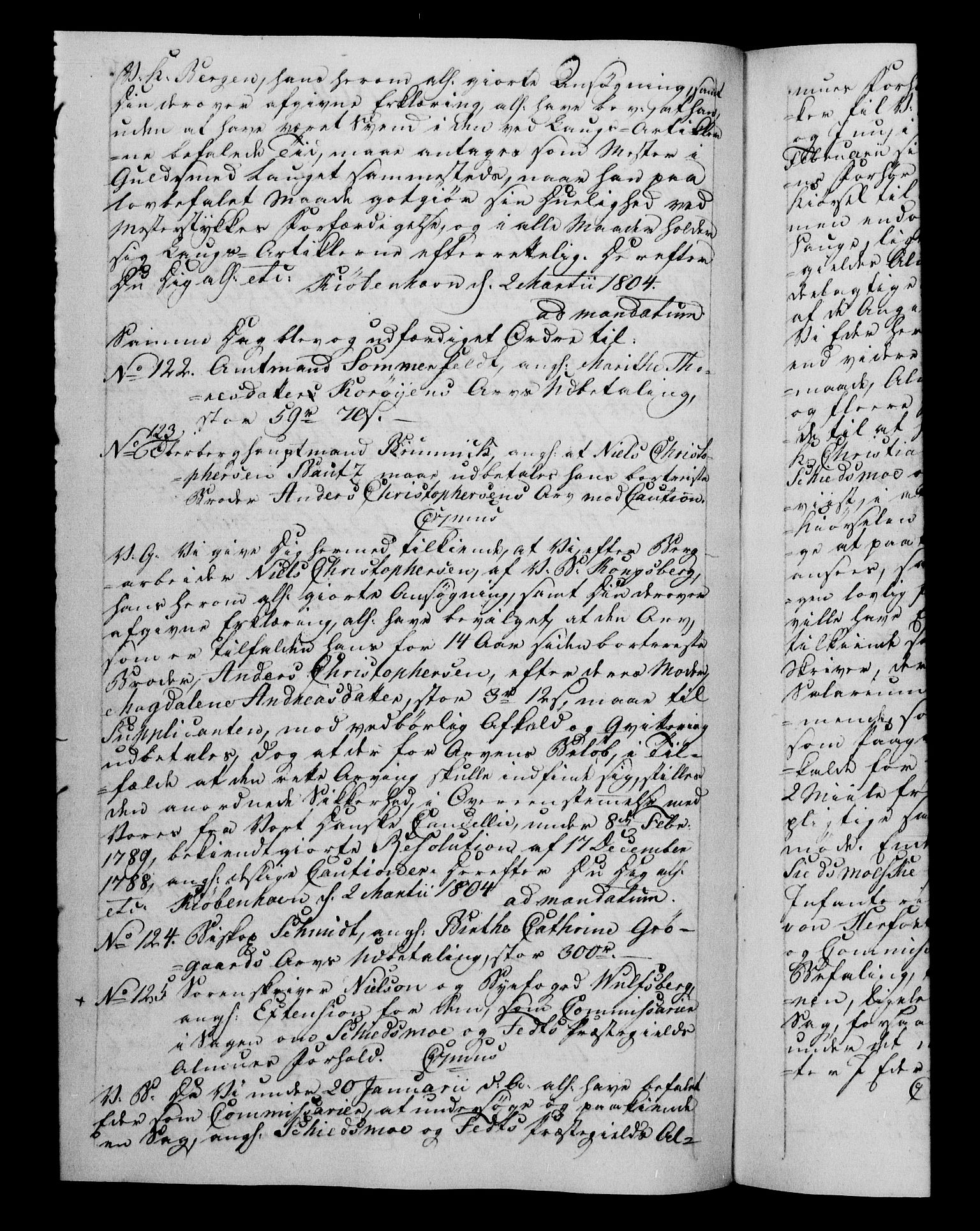 Danske Kanselli 1800-1814, AV/RA-EA-3024/H/Hf/Hfb/Hfba/L0002: Registranter, 1802-1804, p. 233b