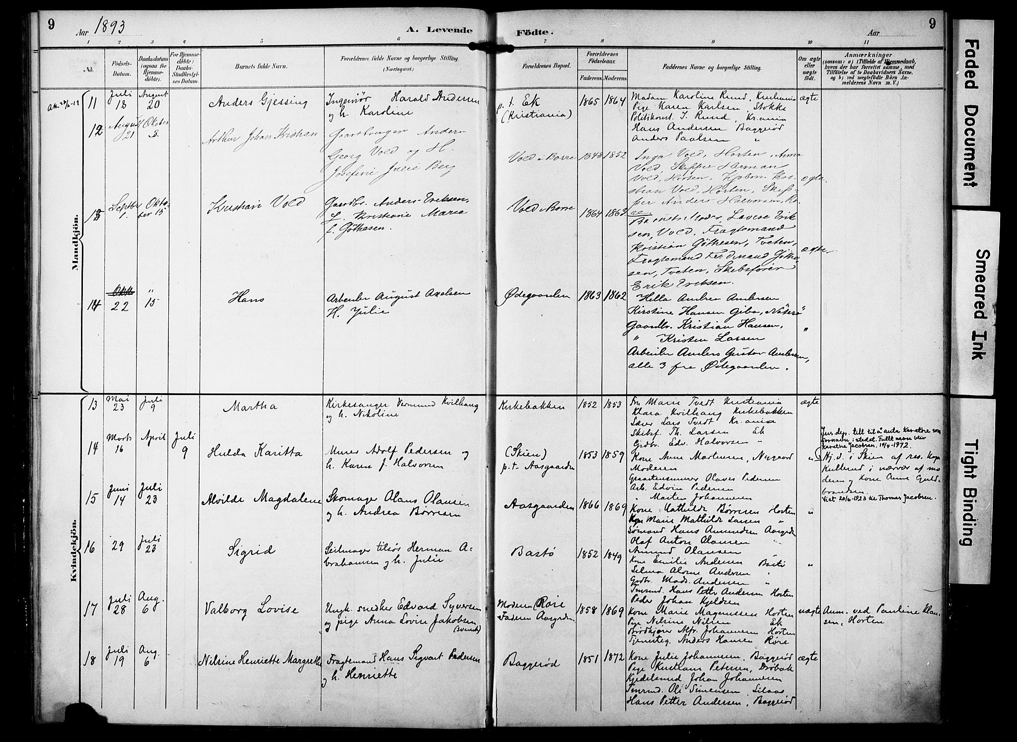 Borre kirkebøker, AV/SAKO-A-338/F/Fa/L0010: Parish register (official) no. I 10, 1892-1896, p. 9