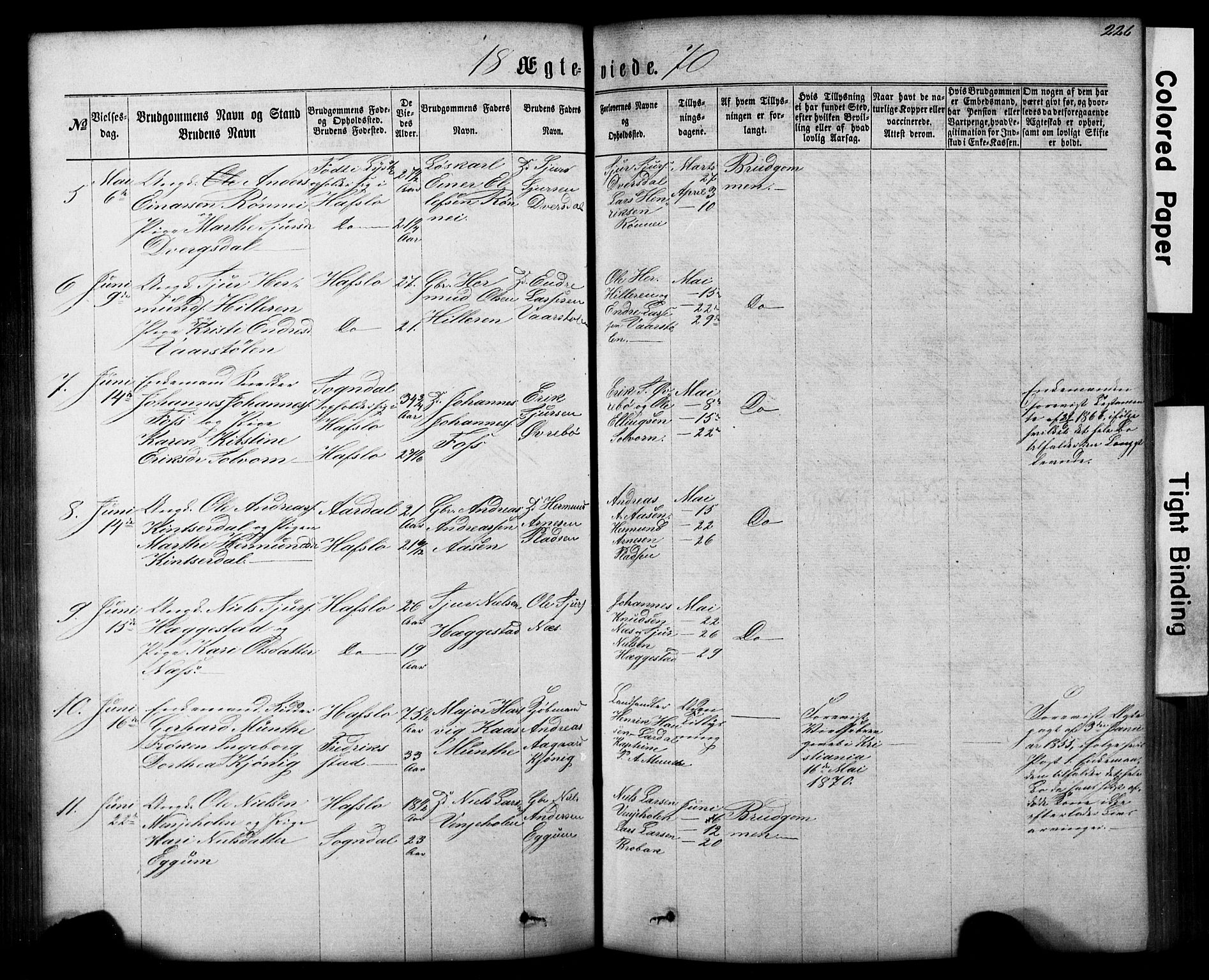 Hafslo sokneprestembete, AV/SAB-A-80301/H/Hab/Haba/L0001: Parish register (copy) no. A 1, 1866-1908, p. 226