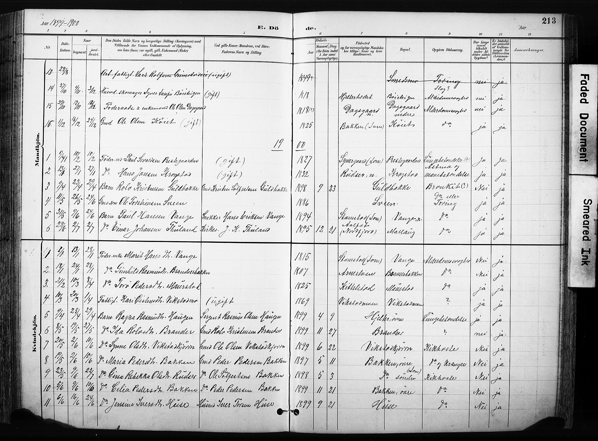 Skjåk prestekontor, SAH/PREST-072/H/Ha/Hab/L0003: Parish register (copy) no. 3, 1893-1932, p. 213