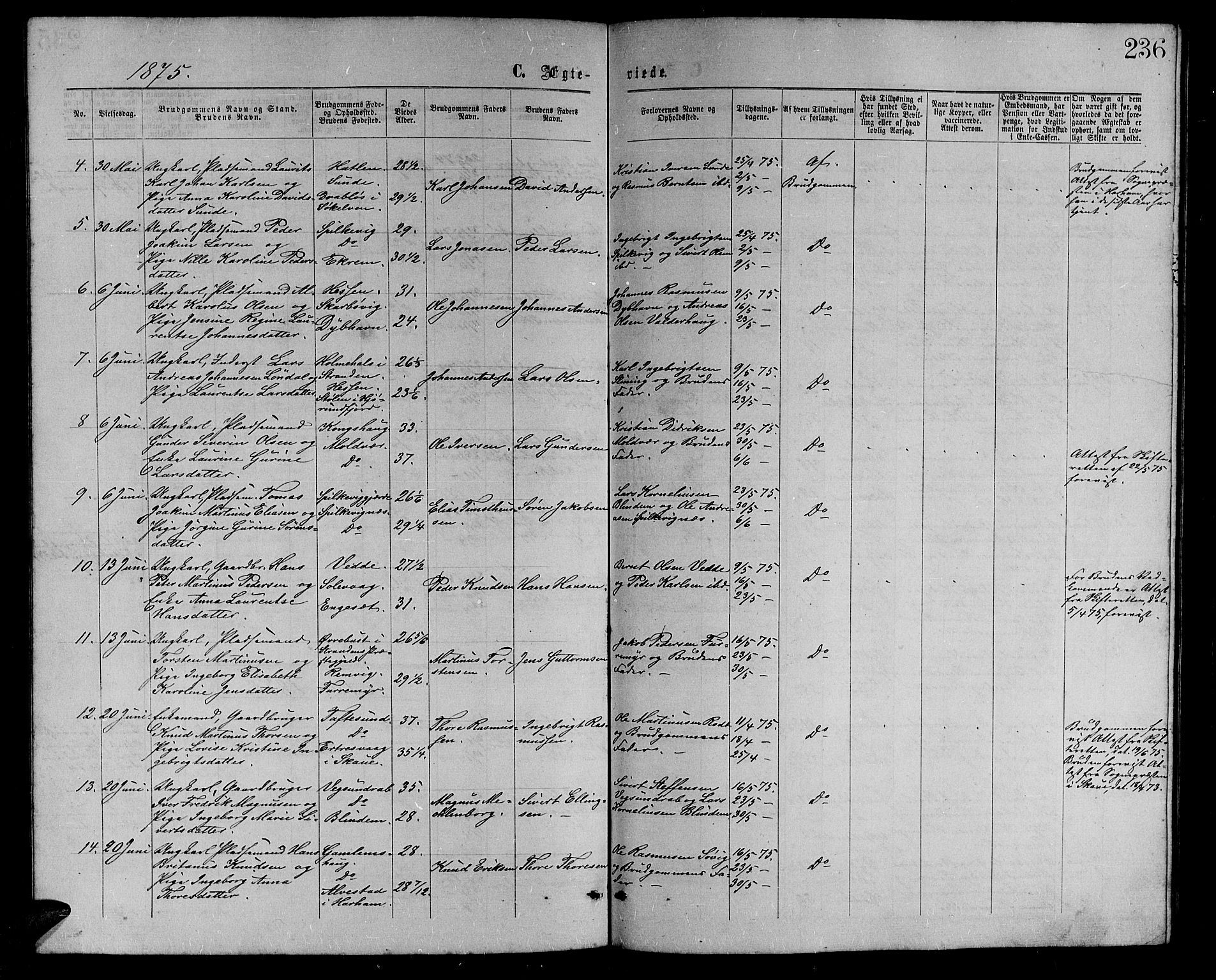 Ministerialprotokoller, klokkerbøker og fødselsregistre - Møre og Romsdal, AV/SAT-A-1454/528/L0428: Parish register (copy) no. 528C09, 1864-1880, p. 236