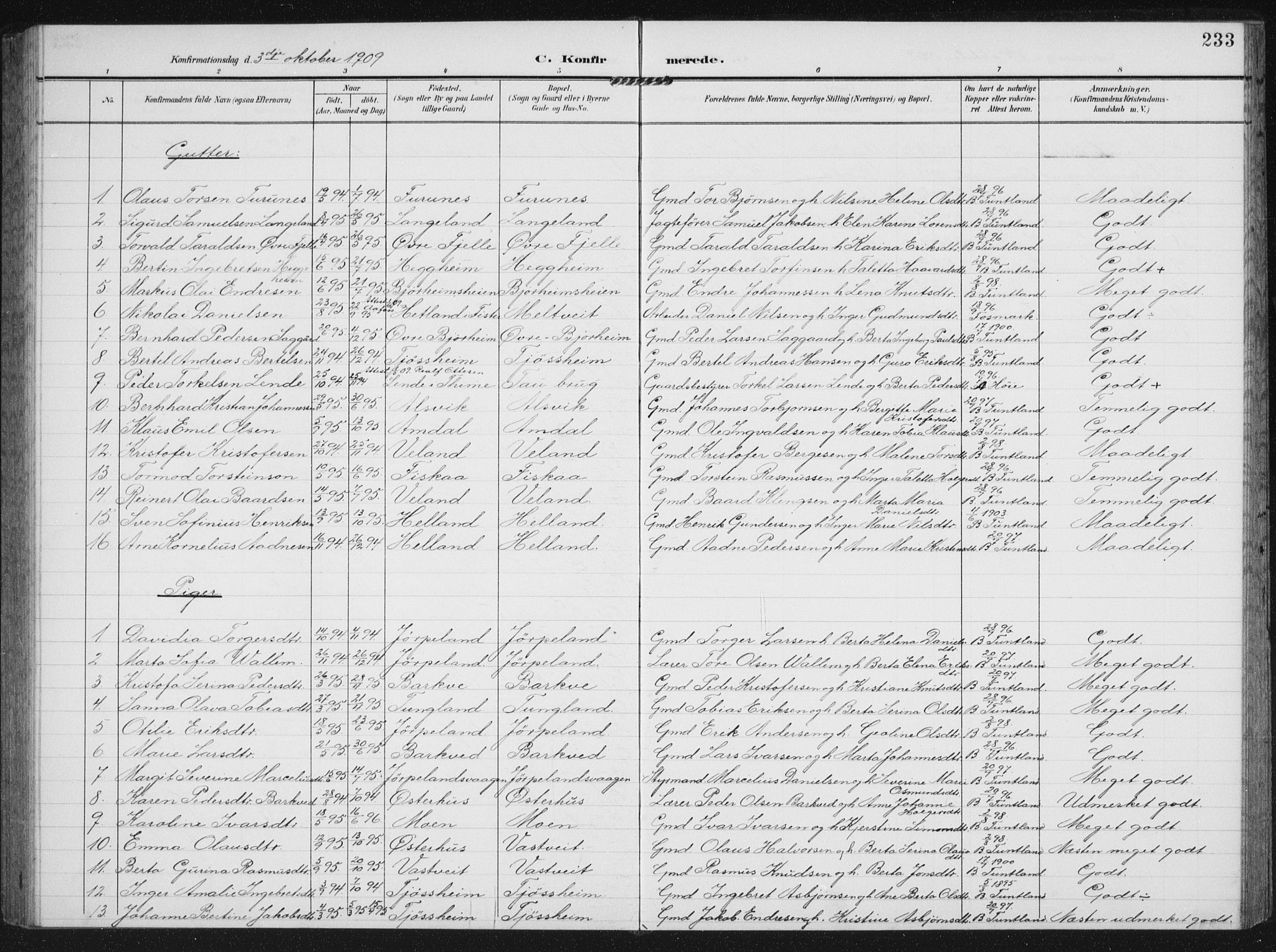 Strand sokneprestkontor, SAST/A-101828/H/Ha/Hab/L0005: Parish register (copy) no. B 5, 1904-1934, p. 233