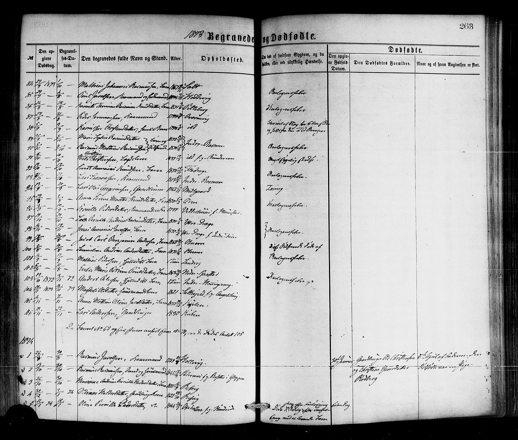 Selje sokneprestembete, SAB/A-99938/H/Ha/Haa/Haaa: Parish register (official) no. A 12, 1870-1880, p. 263