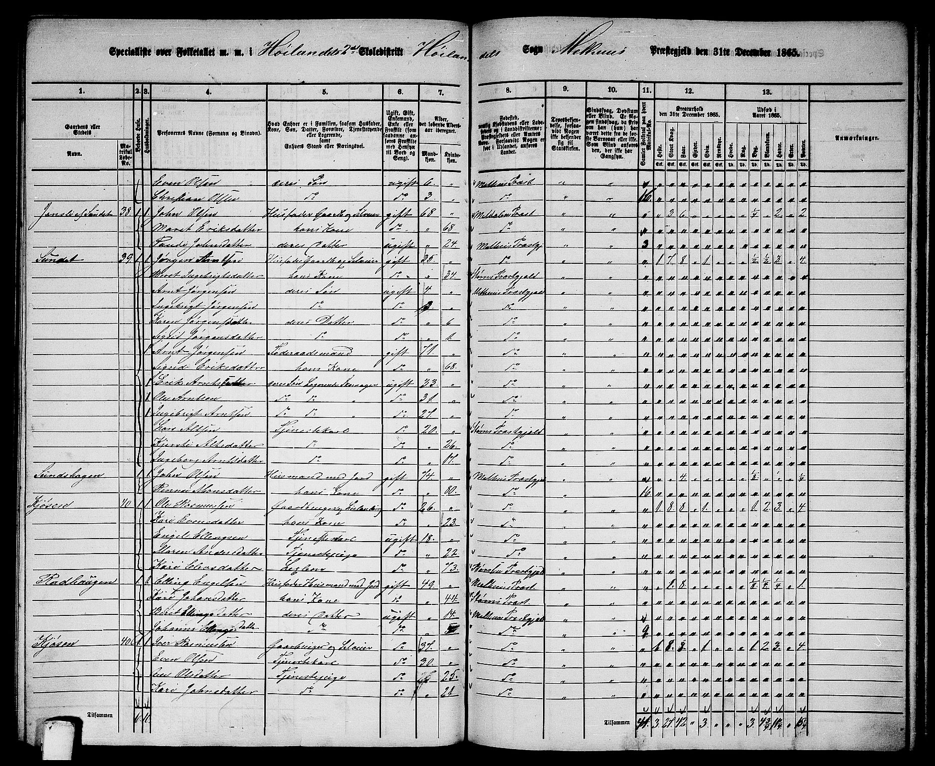 RA, 1865 census for Melhus, 1865, p. 194