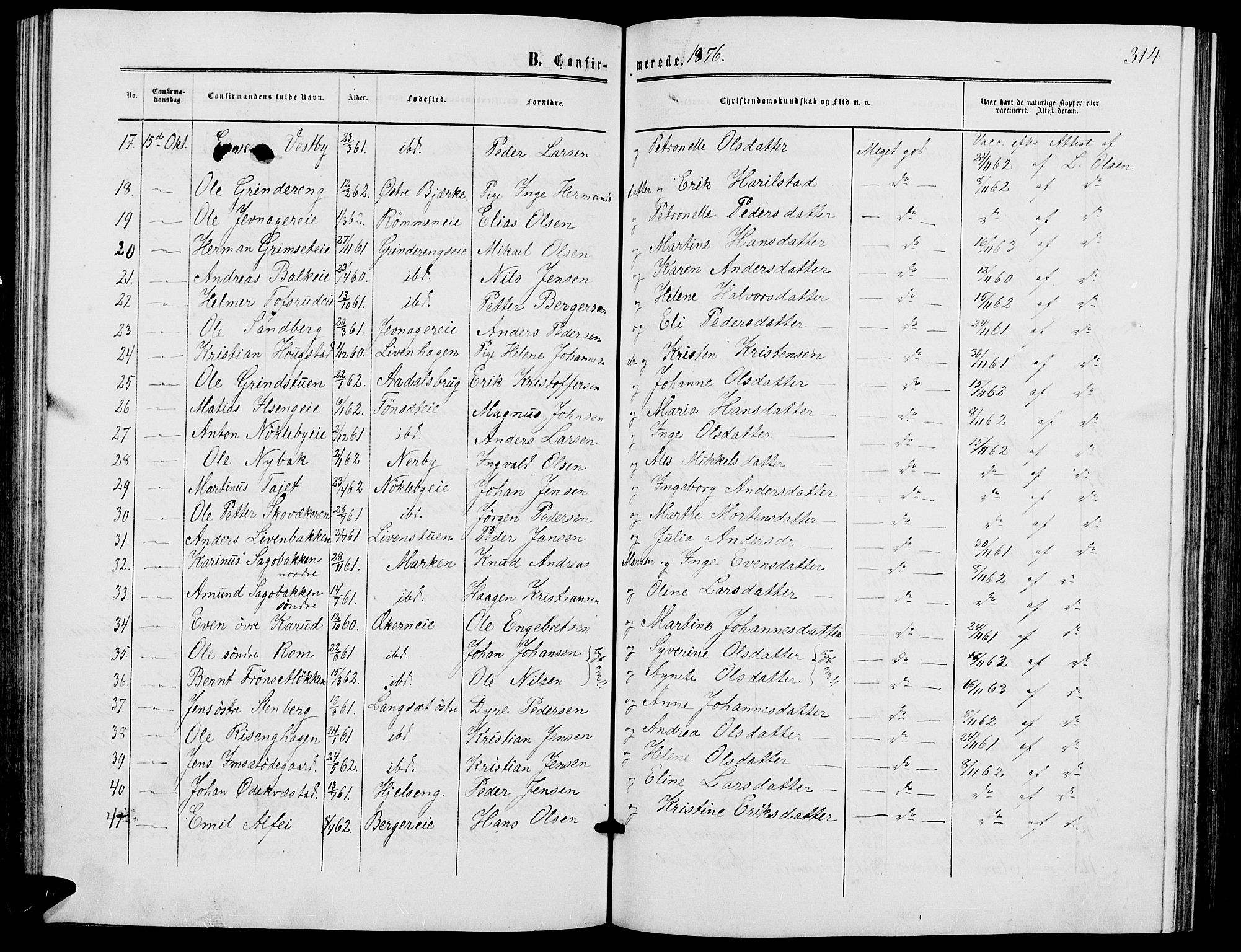 Løten prestekontor, SAH/PREST-022/L/La/L0004: Parish register (copy) no. 4, 1863-1877, p. 314