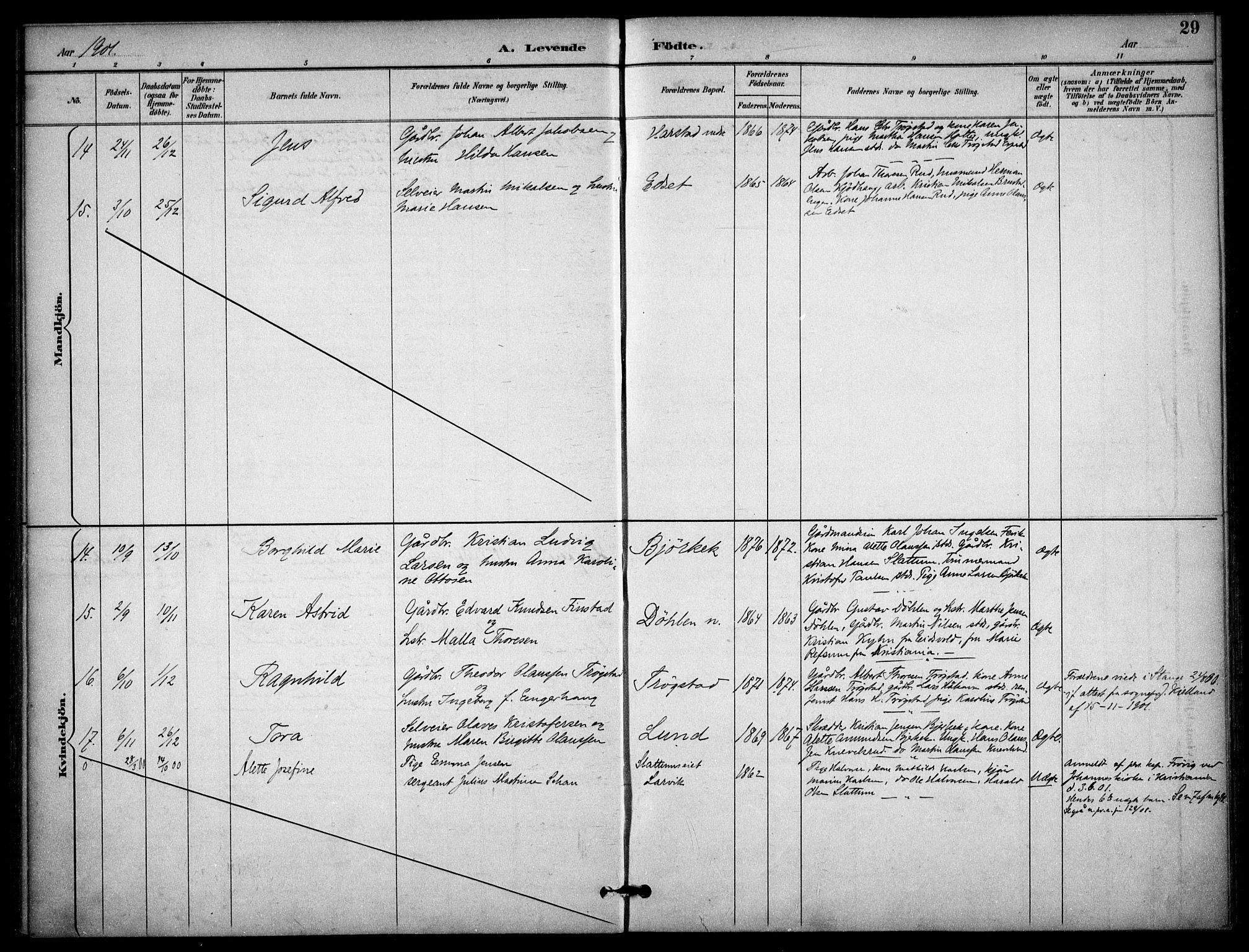 Nannestad prestekontor Kirkebøker, AV/SAO-A-10414a/F/Fb/L0002: Parish register (official) no. II 2, 1891-1909, p. 29