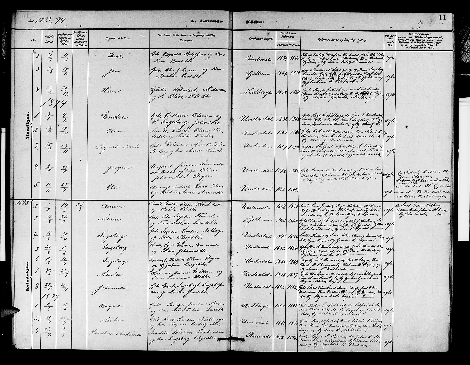 Aurland sokneprestembete, SAB/A-99937/H/Hb/Hbd/L0002: Parish register (copy) no. D 2, 1883-1920, p. 11