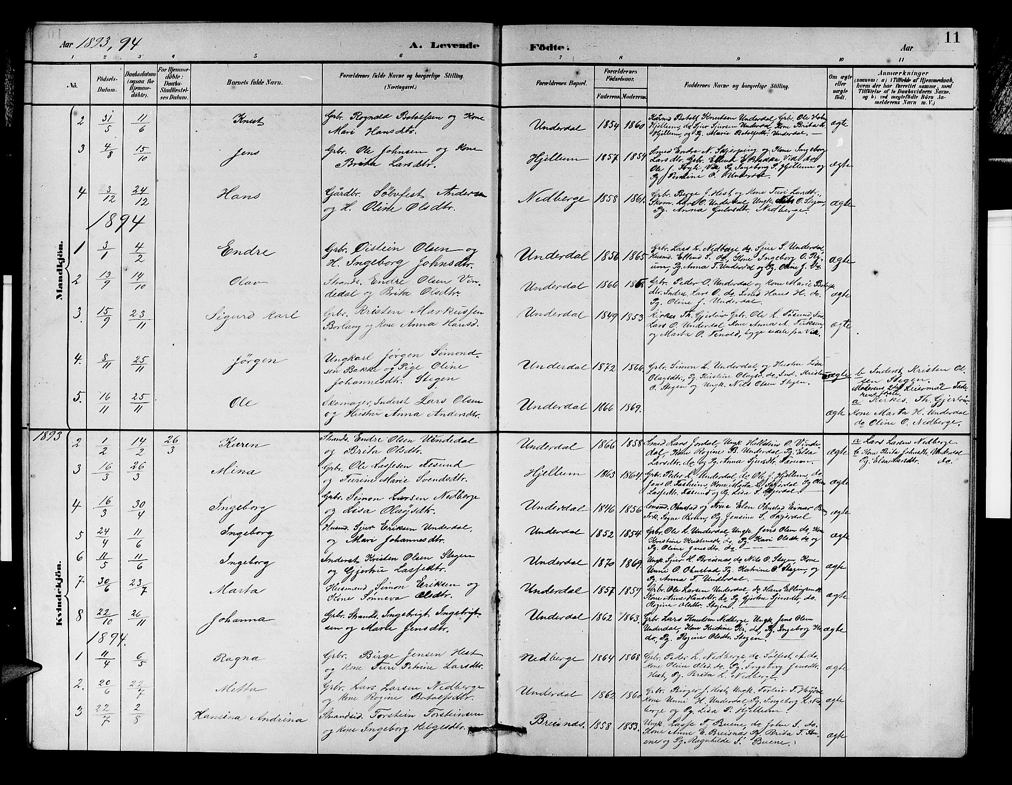 Aurland sokneprestembete, AV/SAB-A-99937/H/Hb/Hbd/L0002: Parish register (copy) no. D 2, 1883-1920, p. 11