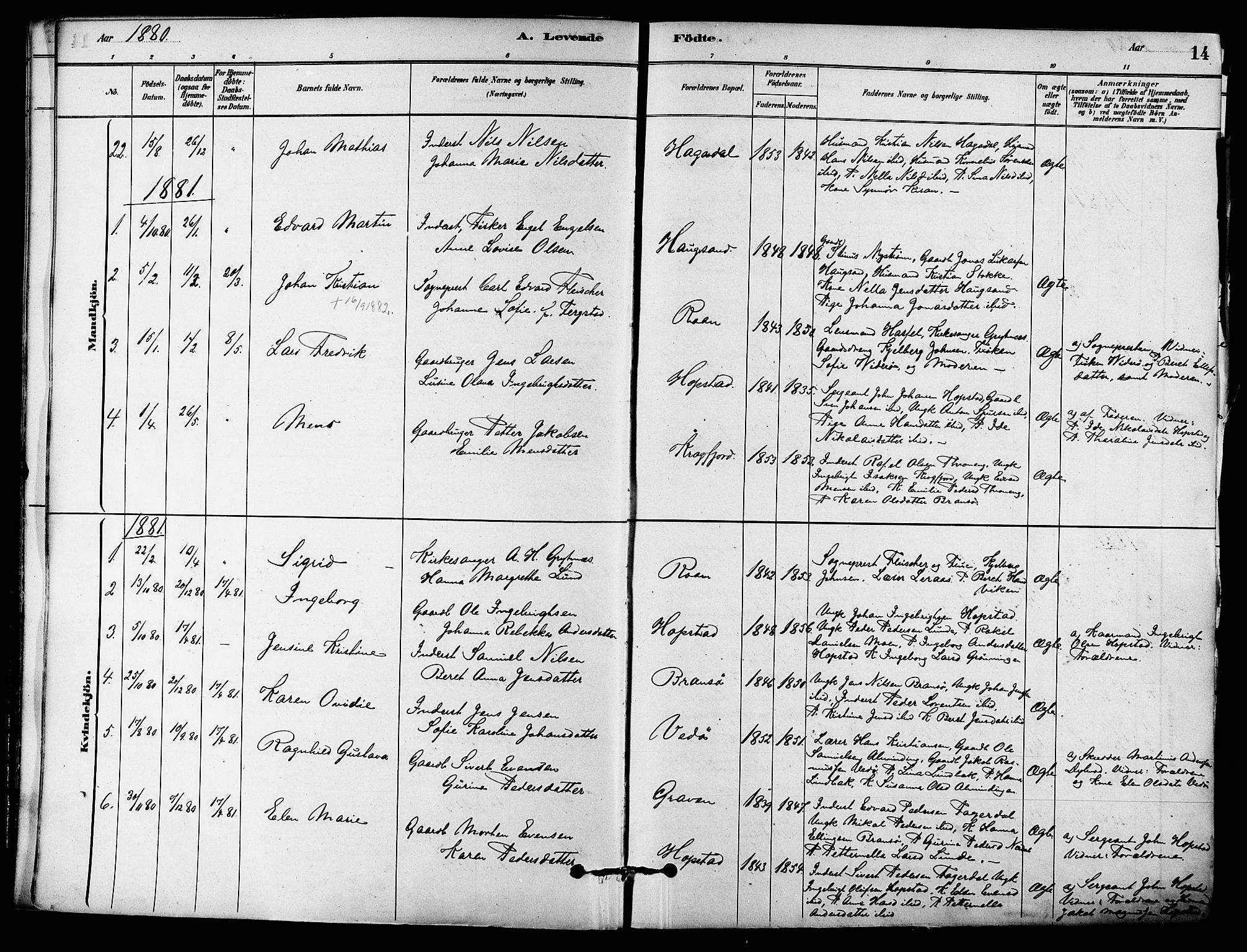 Ministerialprotokoller, klokkerbøker og fødselsregistre - Sør-Trøndelag, SAT/A-1456/657/L0707: Parish register (official) no. 657A08, 1879-1893, p. 14