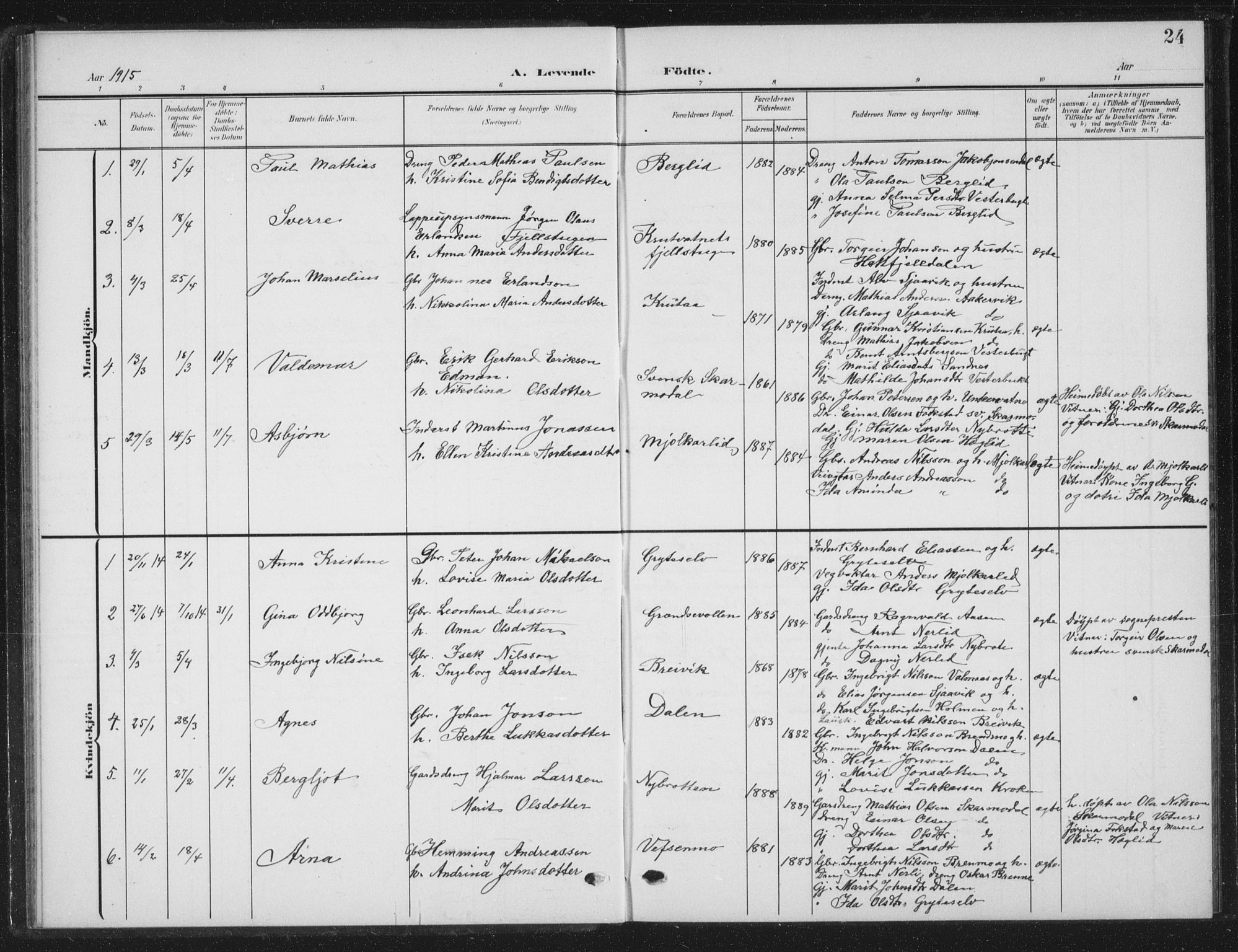 Ministerialprotokoller, klokkerbøker og fødselsregistre - Nordland, AV/SAT-A-1459/823/L0331: Parish register (copy) no. 823C03, 1905-1934, p. 24