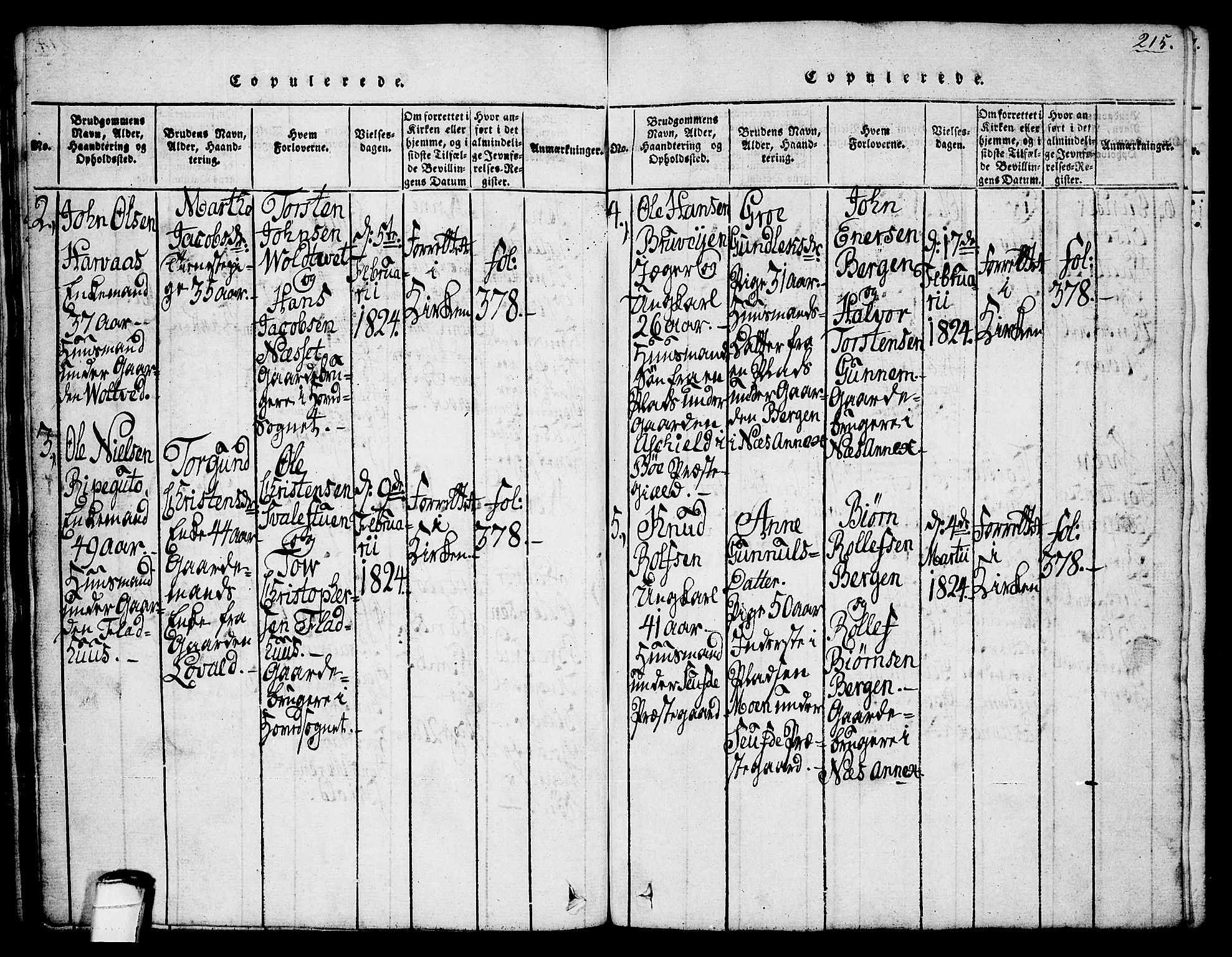 Sauherad kirkebøker, SAKO/A-298/G/Ga/L0001: Parish register (copy) no. I 1, 1815-1827, p. 215