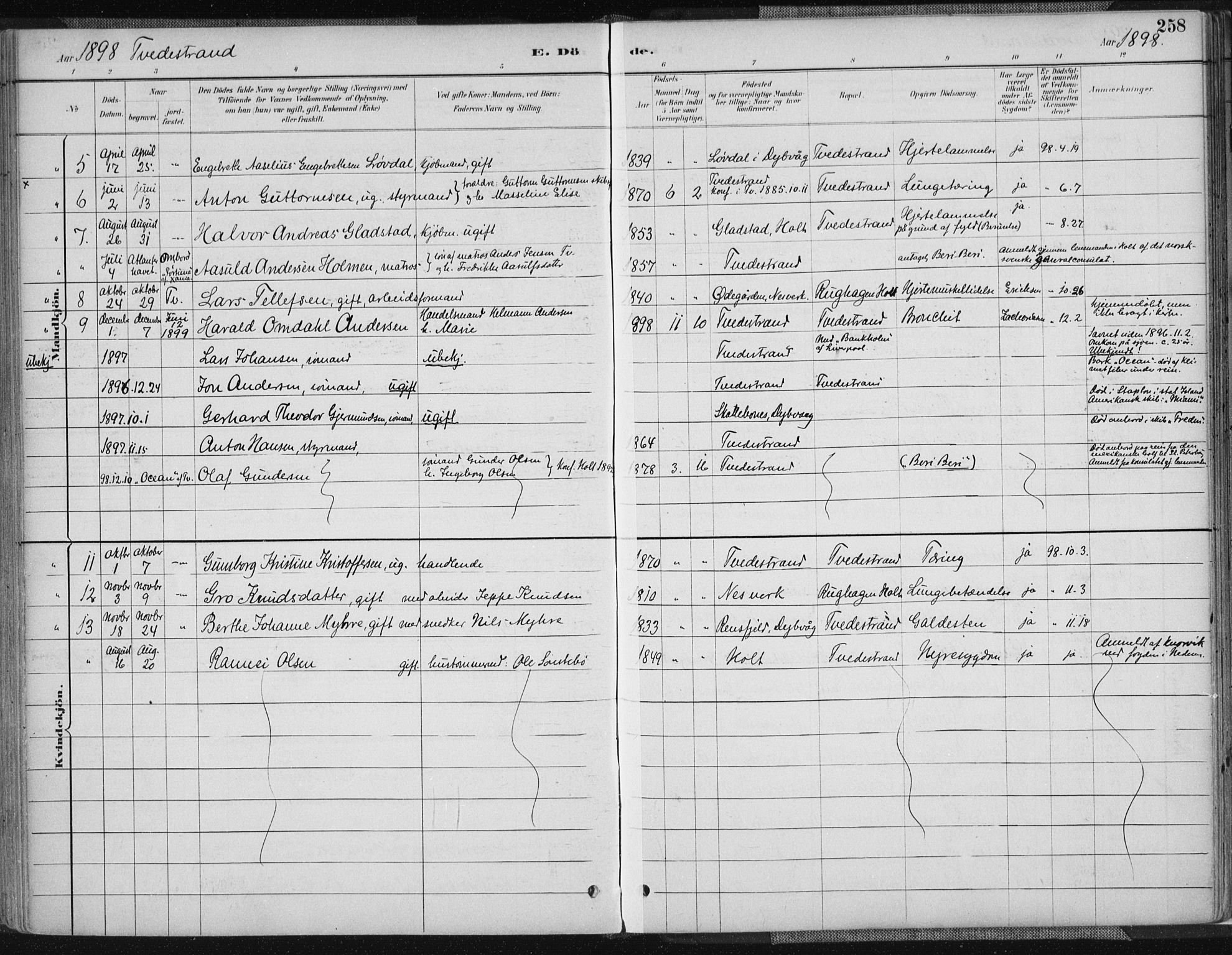 Tvedestrand sokneprestkontor, AV/SAK-1111-0042/F/Fa/L0001: Parish register (official) no. A 1, 1885-1916, p. 258