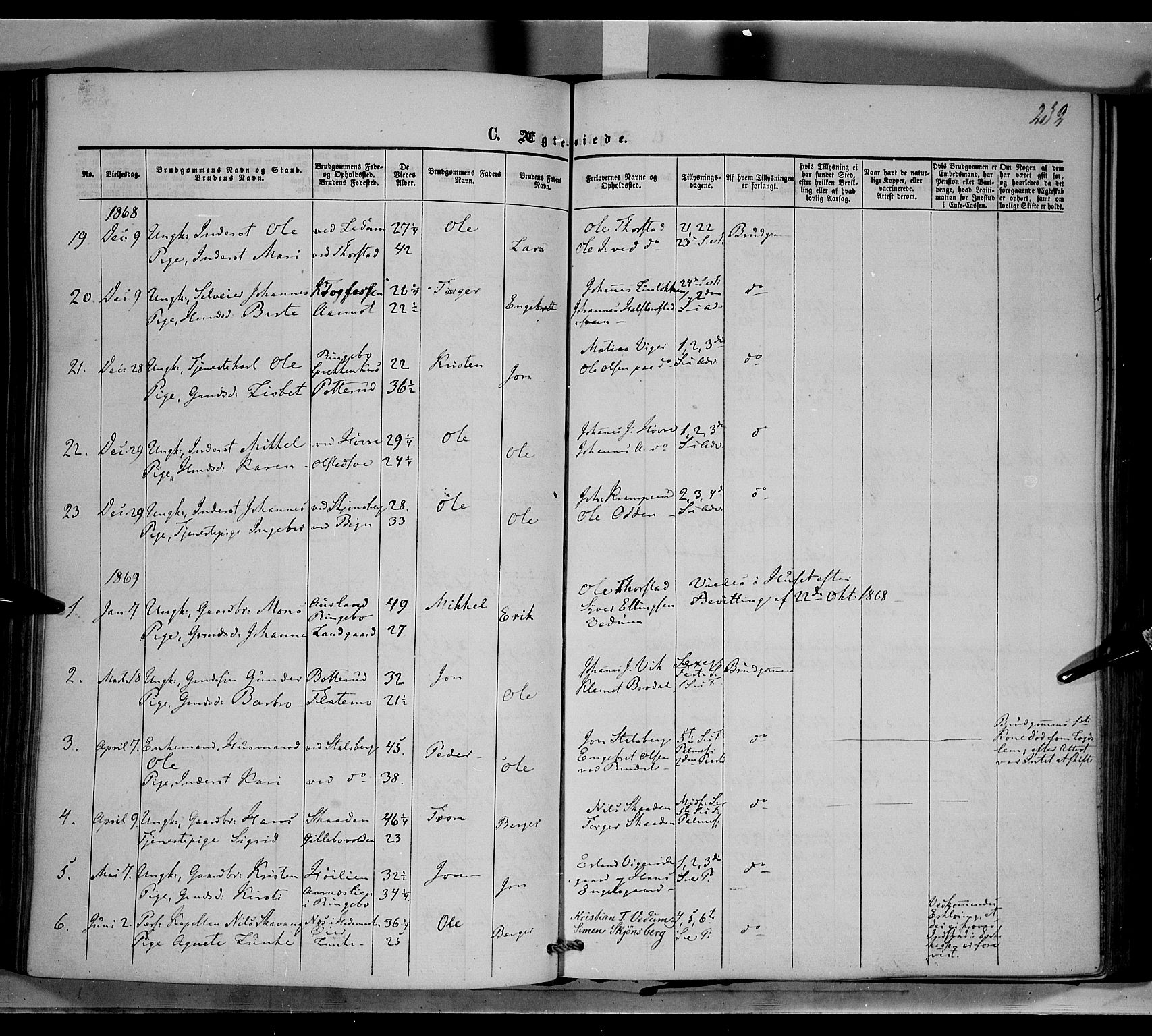 Øyer prestekontor, AV/SAH-PREST-084/H/Ha/Haa/L0006: Parish register (official) no. 6, 1858-1874, p. 232