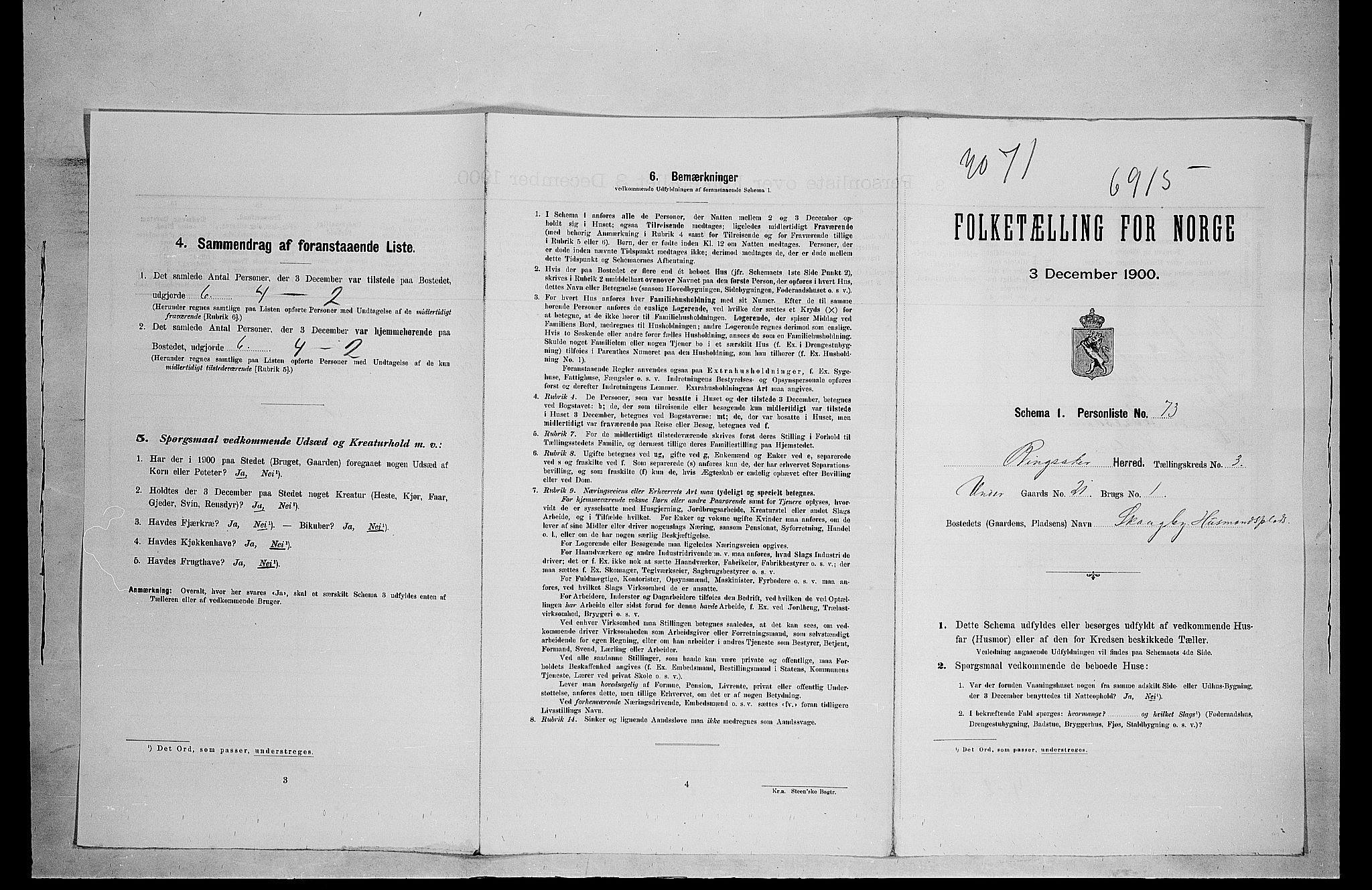 SAH, 1900 census for Ringsaker, 1900, p. 163