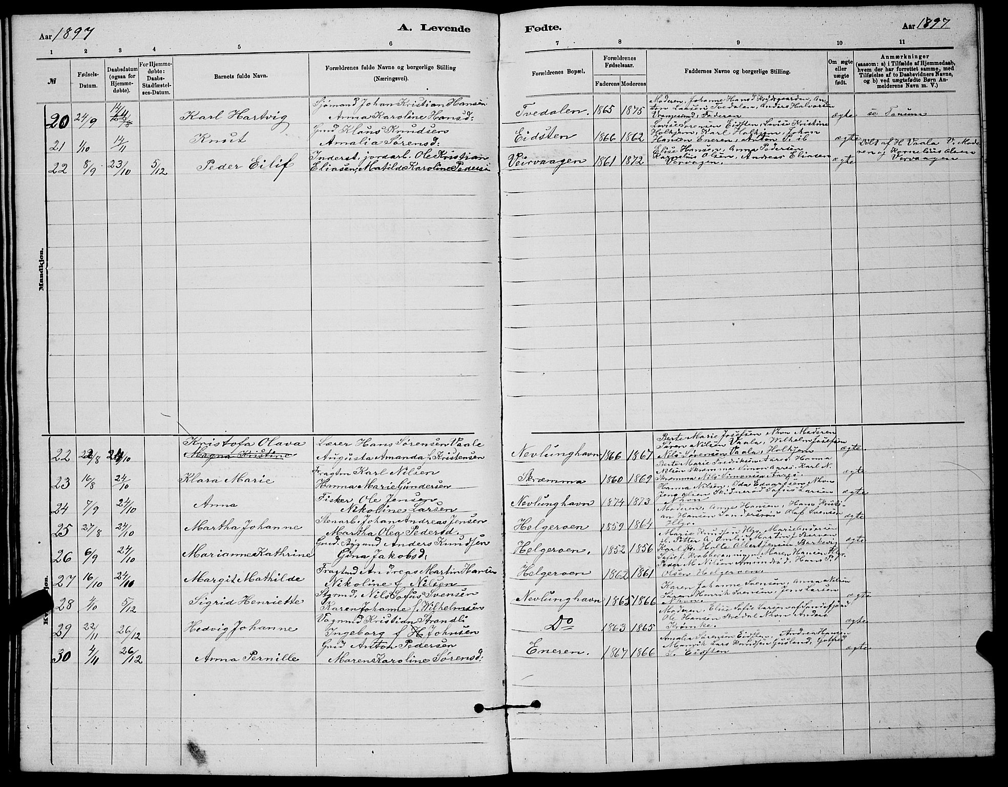 Brunlanes kirkebøker, SAKO/A-342/G/Gb/L0002: Parish register (copy) no. II 2, 1878-1902