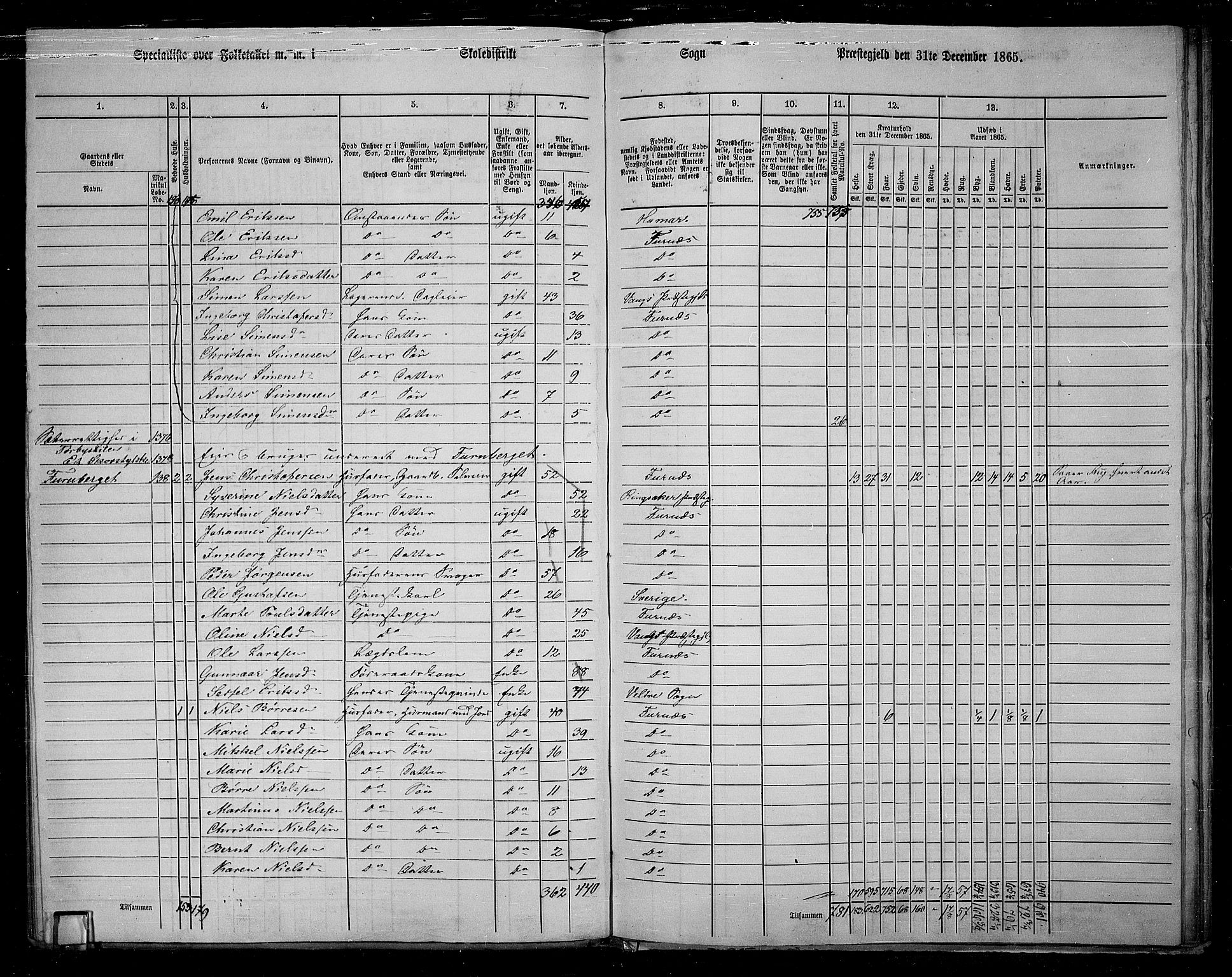 RA, 1865 census for Vang/Vang og Furnes, 1865, p. 116