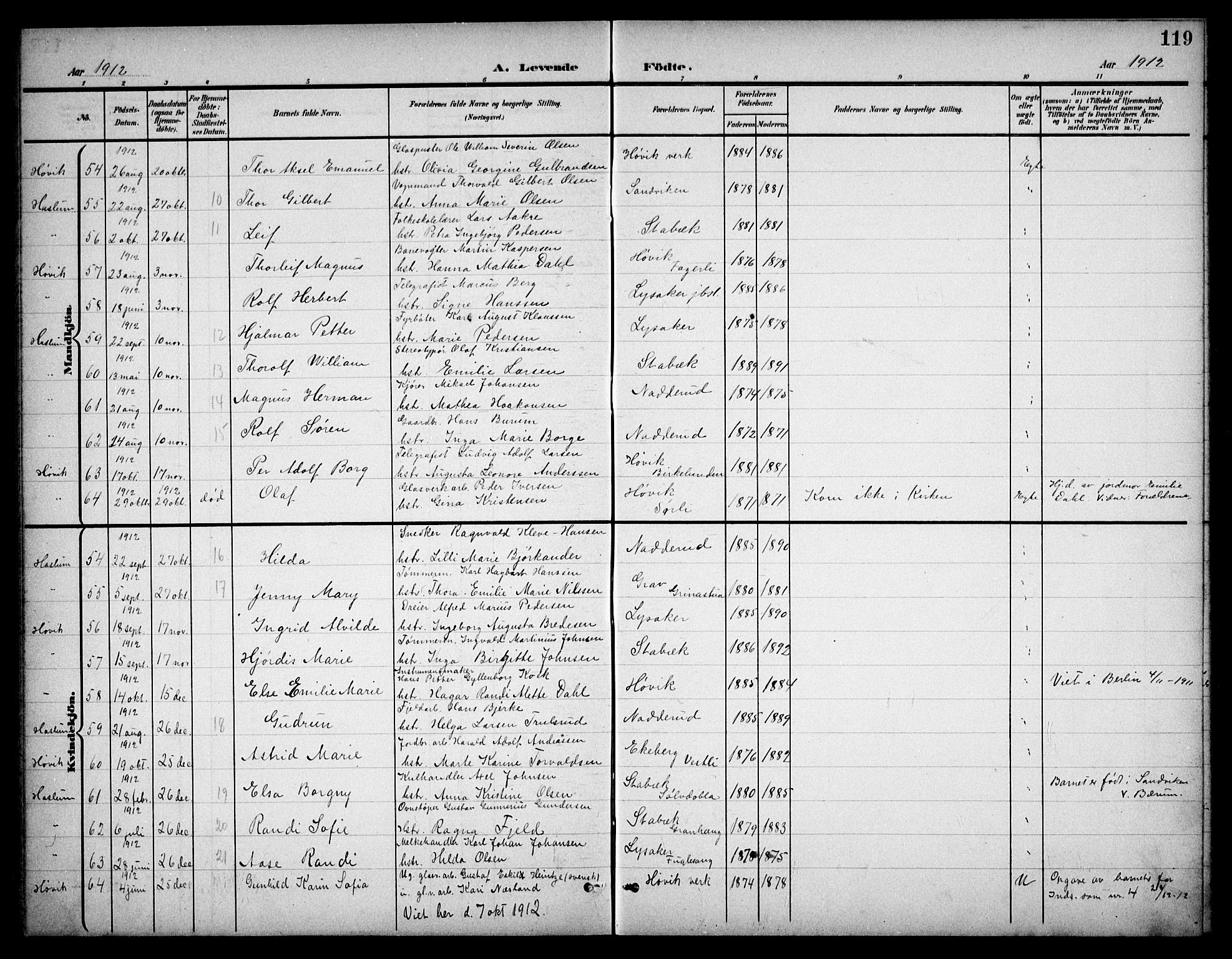 Østre Bærum prestekontor Kirkebøker, AV/SAO-A-10887/G/Ga/L0001: Parish register (copy) no. 1, 1898-1913, p. 119