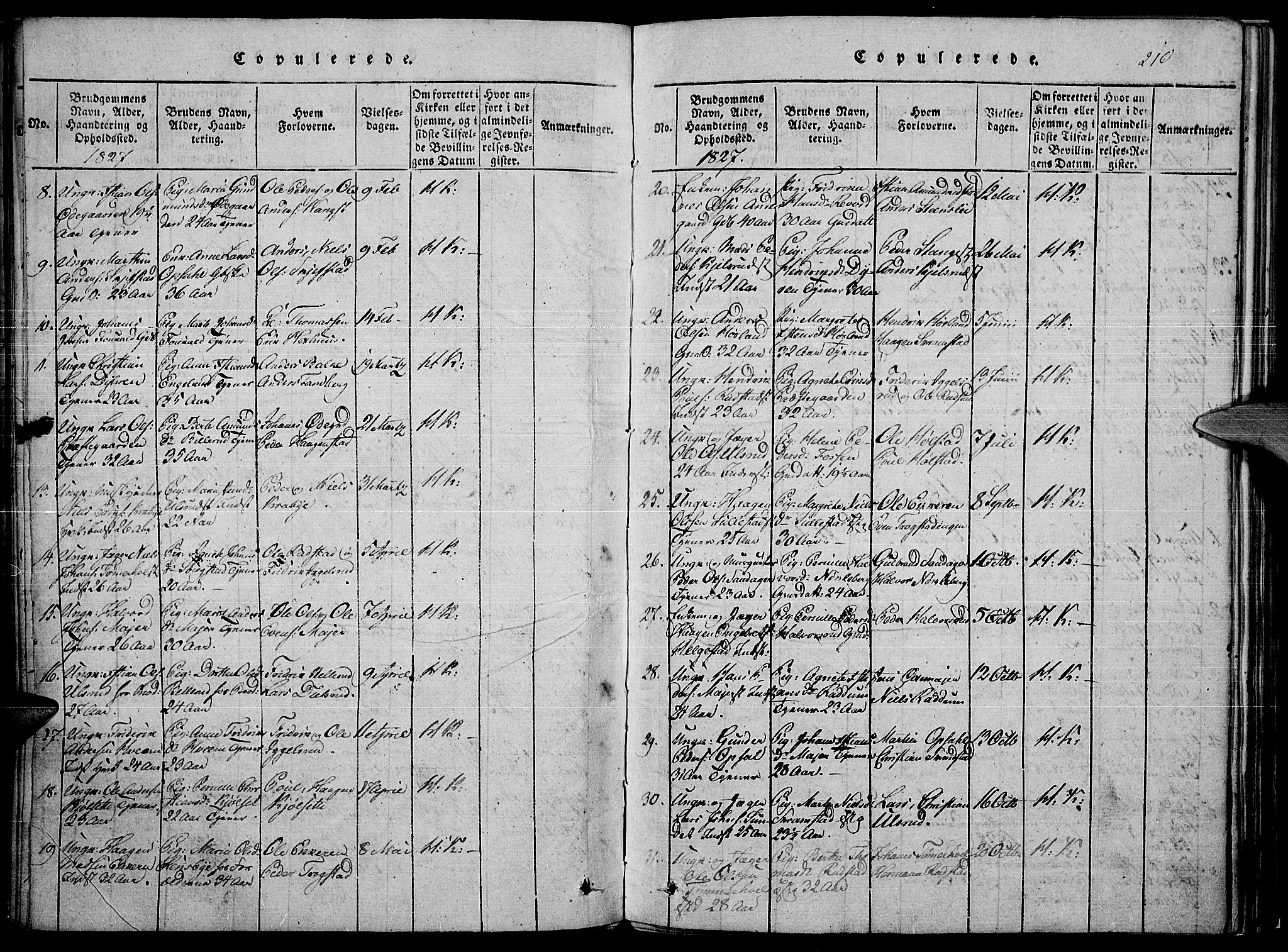 Toten prestekontor, SAH/PREST-102/H/Ha/Haa/L0010: Parish register (official) no. 10, 1820-1828, p. 210