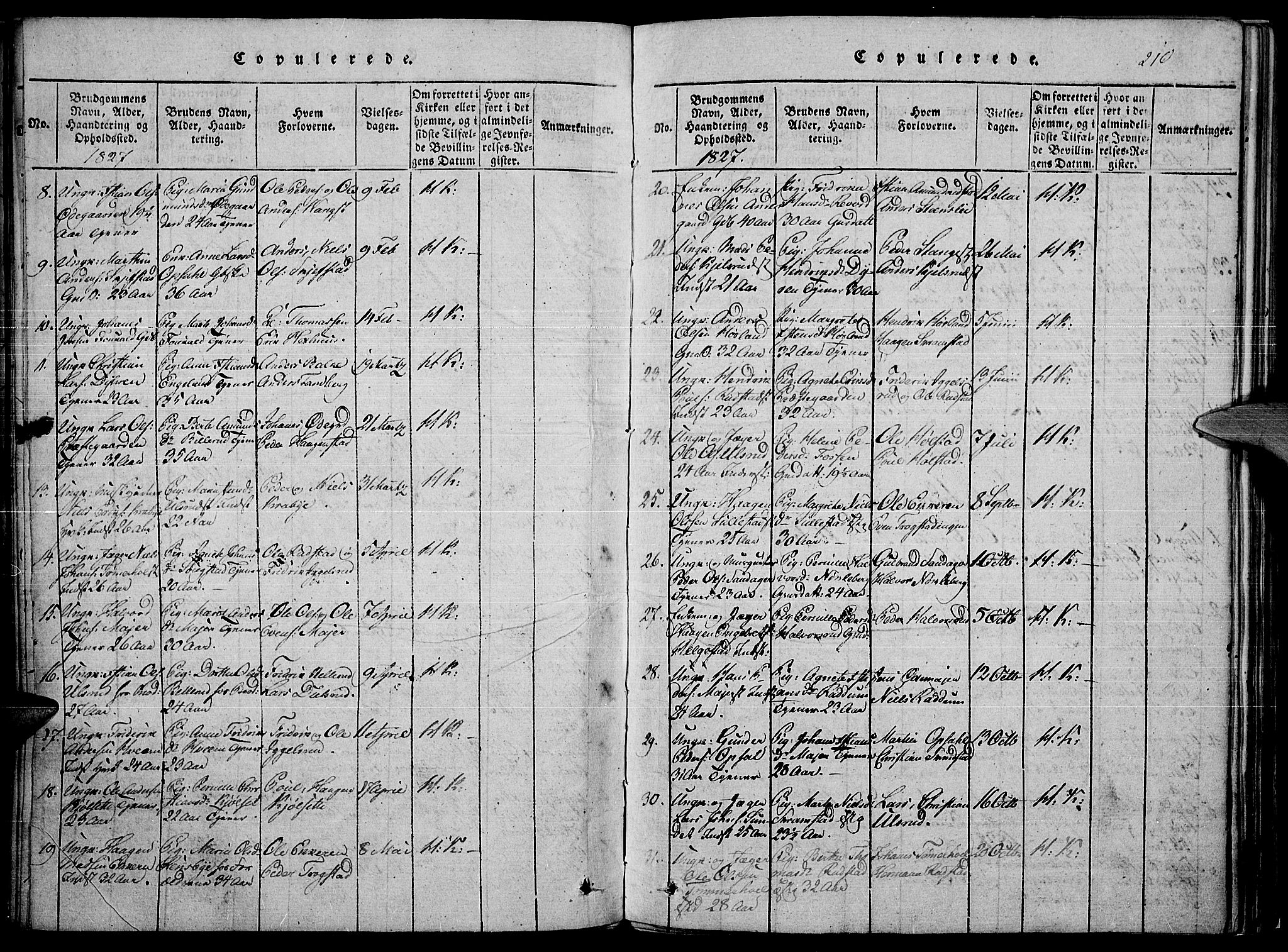 Toten prestekontor, AV/SAH-PREST-102/H/Ha/Haa/L0010: Parish register (official) no. 10, 1820-1828, p. 210