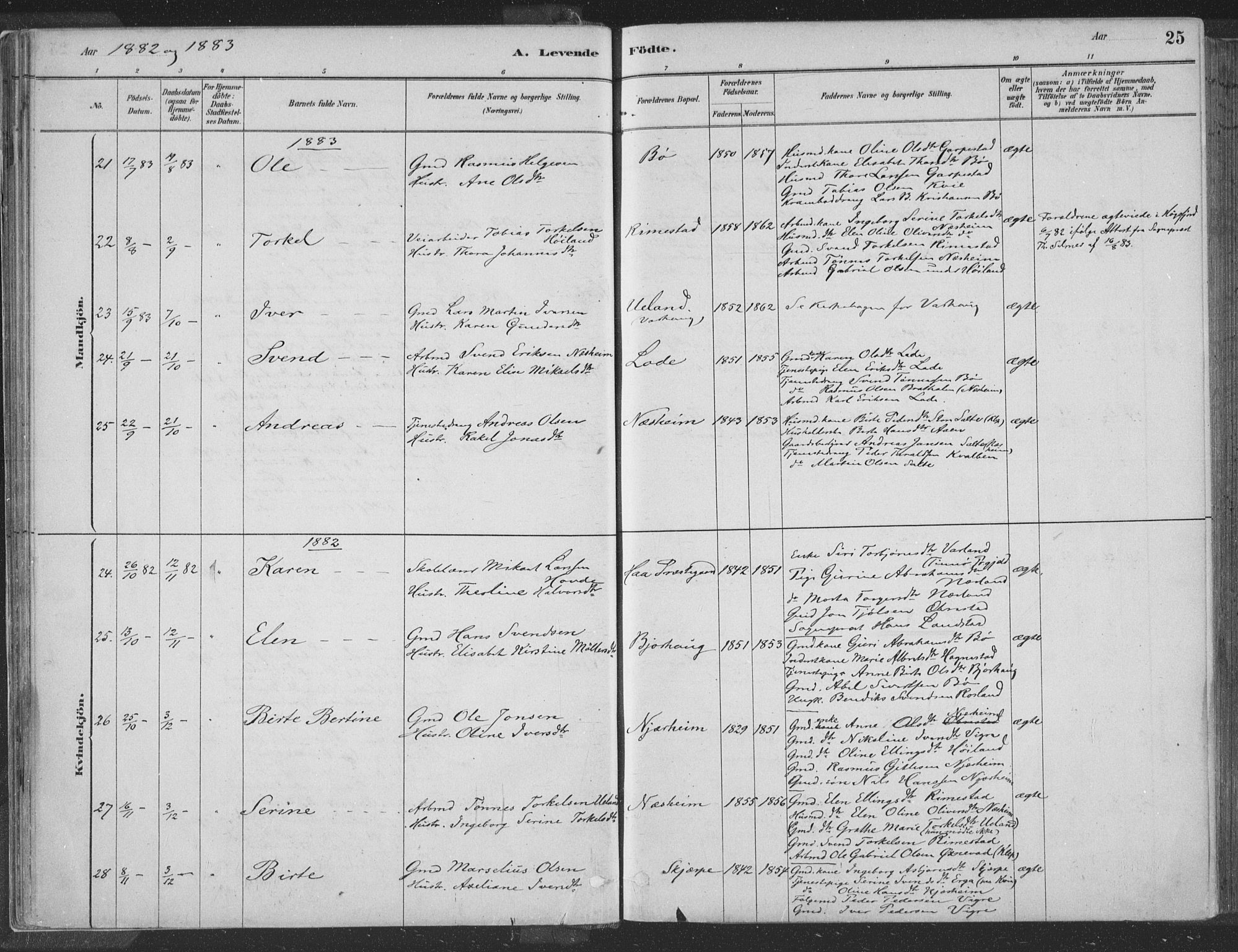 Hå sokneprestkontor, SAST/A-101801/001/30BA/L0010: Parish register (official) no. A 9, 1879-1896, p. 25