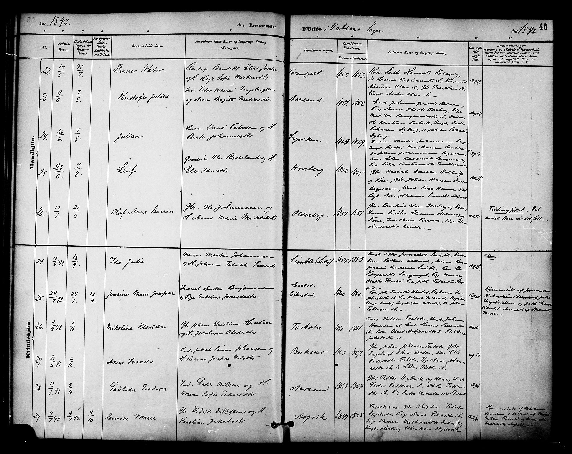 Ministerialprotokoller, klokkerbøker og fødselsregistre - Nordland, AV/SAT-A-1459/810/L0150: Parish register (official) no. 810A10 /1, 1884-1895, p. 45