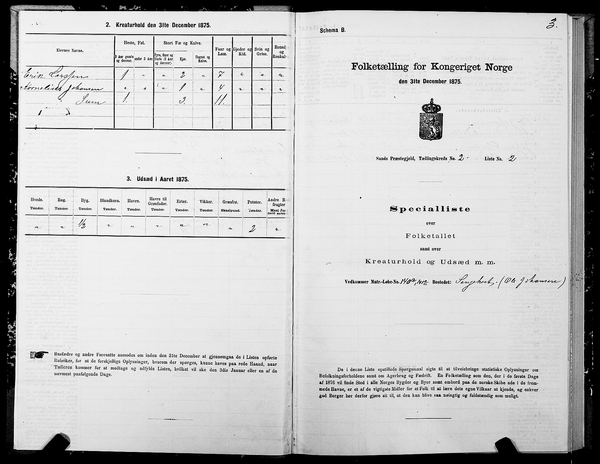 SATØ, 1875 census for 1915P Sand, 1875, p. 2003