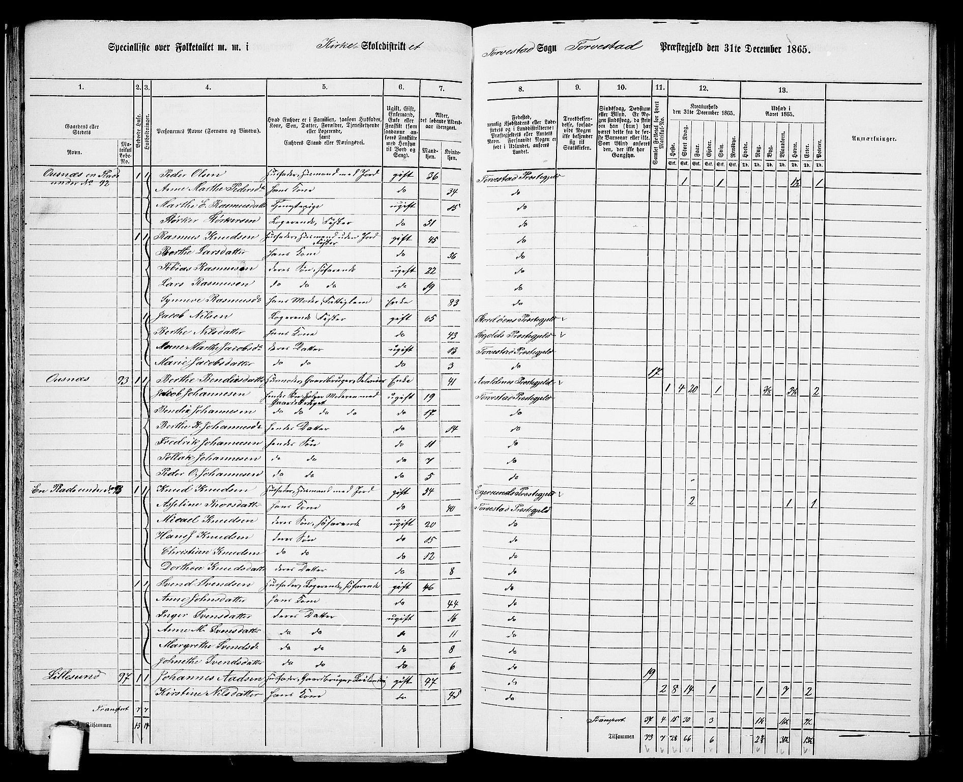 RA, 1865 census for Torvastad/Torvastad, Skåre og Utsira, 1865, p. 44