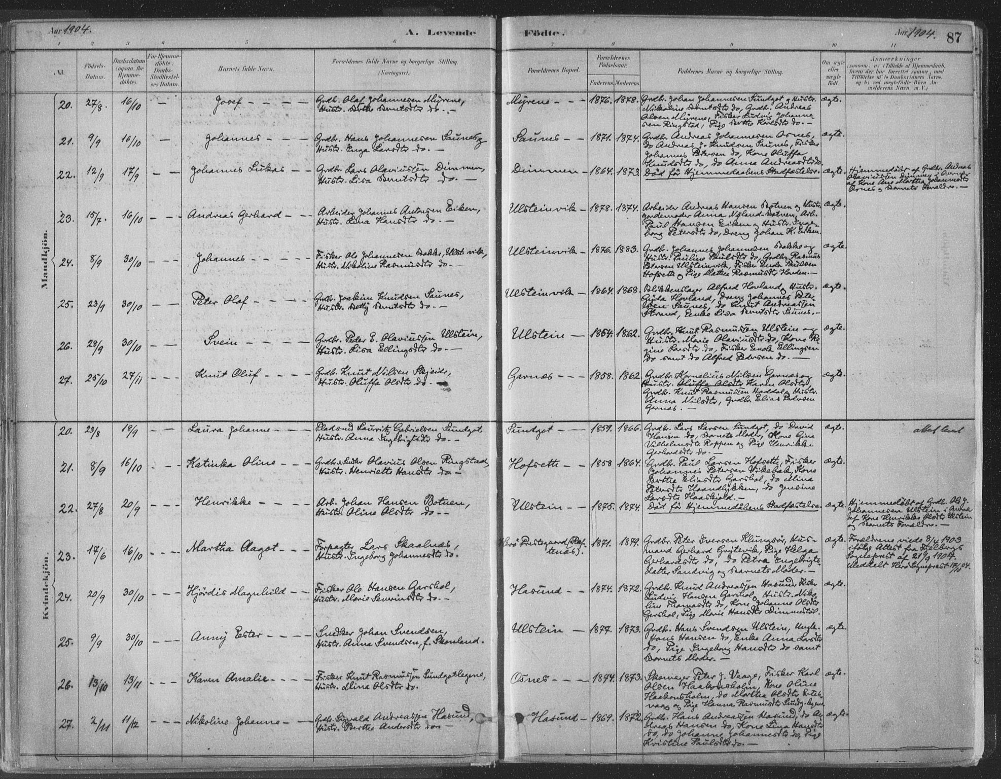 Ministerialprotokoller, klokkerbøker og fødselsregistre - Møre og Romsdal, SAT/A-1454/509/L0106: Parish register (official) no. 509A04, 1883-1922, p. 87