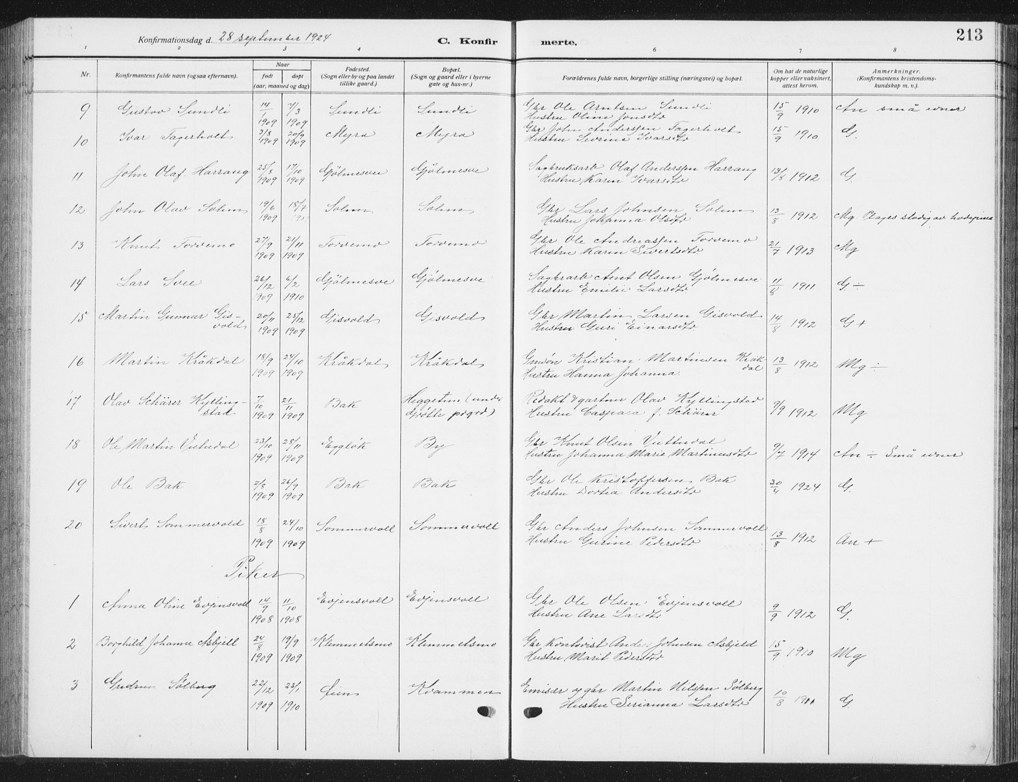 Ministerialprotokoller, klokkerbøker og fødselsregistre - Sør-Trøndelag, SAT/A-1456/668/L0820: Parish register (copy) no. 668C09, 1912-1936, p. 213