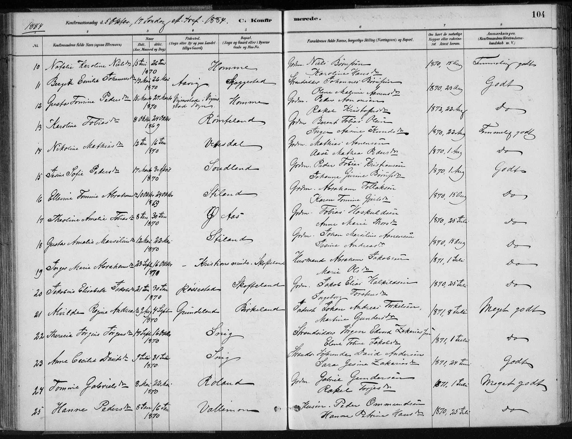 Sør-Audnedal sokneprestkontor, AV/SAK-1111-0039/F/Fa/Fab/L0009: Parish register (official) no. A 9, 1880-1895, p. 104