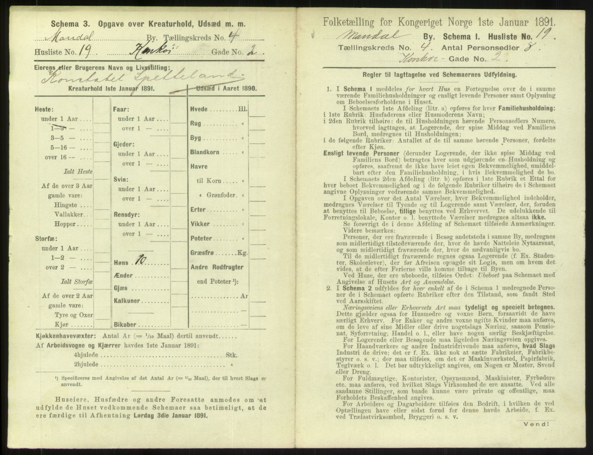 RA, 1891 census for 1002 Mandal, 1891, p. 245