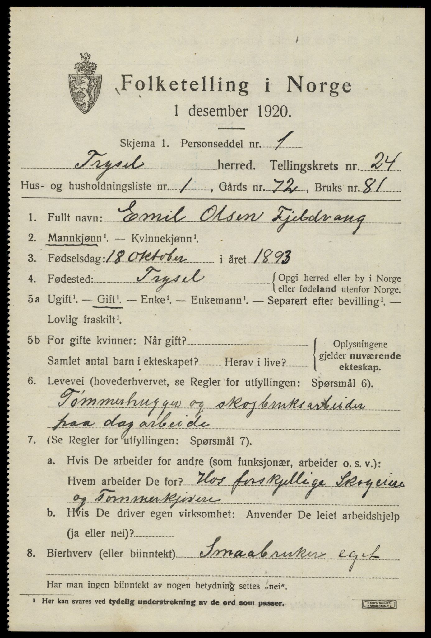 SAH, 1920 census for Trysil, 1920, p. 15225