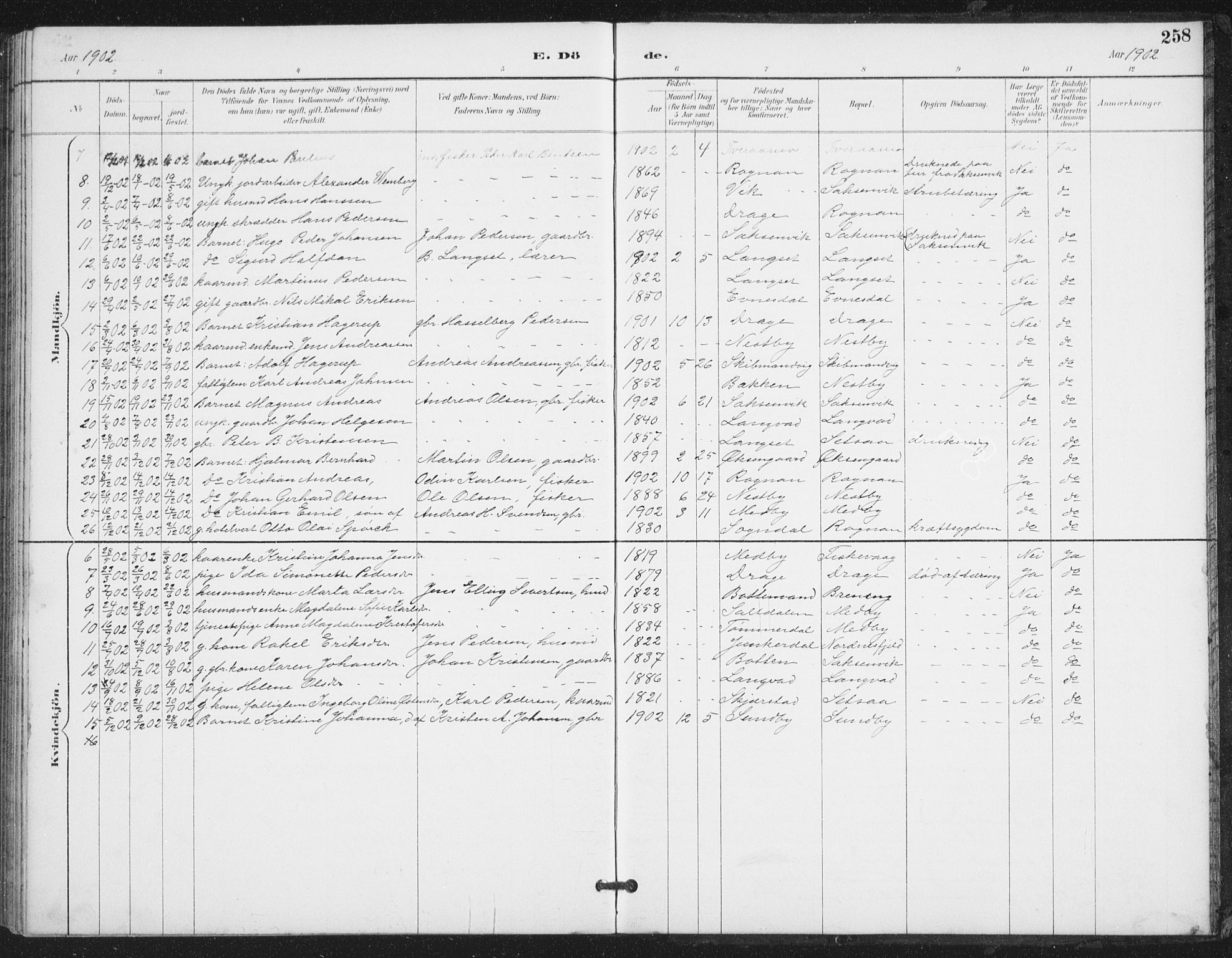 Ministerialprotokoller, klokkerbøker og fødselsregistre - Nordland, AV/SAT-A-1459/847/L0682: Parish register (copy) no. 847C10, 1889-1907, p. 258