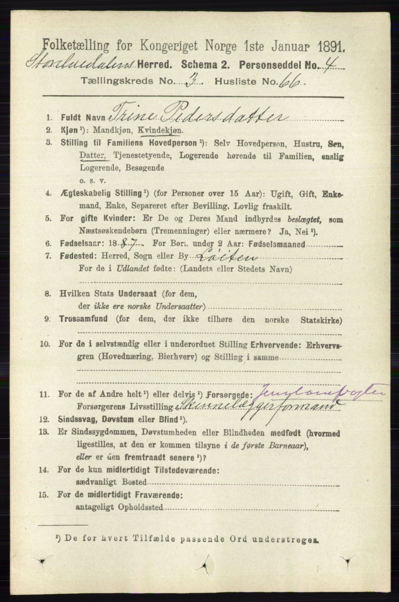 RA, 1891 census for 0430 Stor-Elvdal, 1891, p. 1311