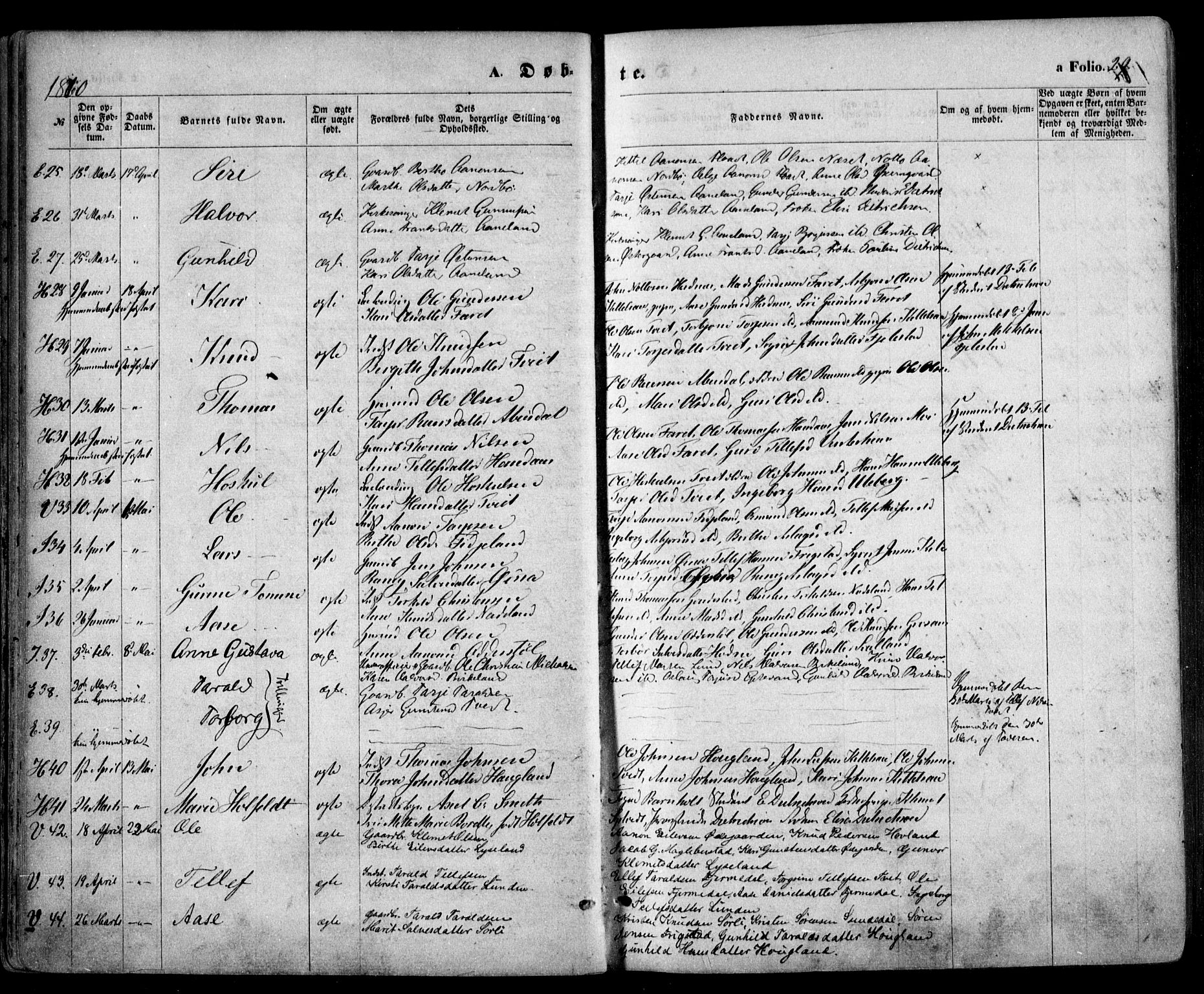 Evje sokneprestkontor, AV/SAK-1111-0008/F/Fa/Faa/L0006: Parish register (official) no. A 6, 1866-1884, p. 29