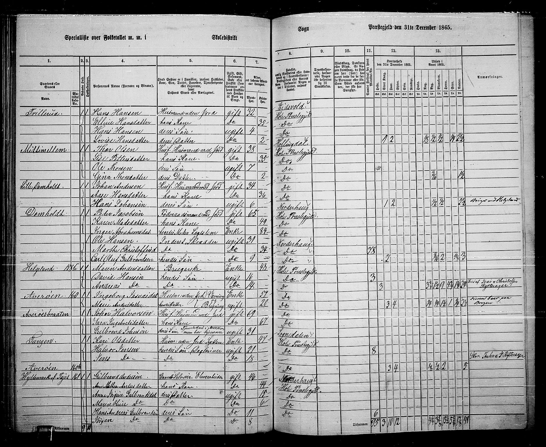 RA, 1865 census for Hole, 1865, p. 116